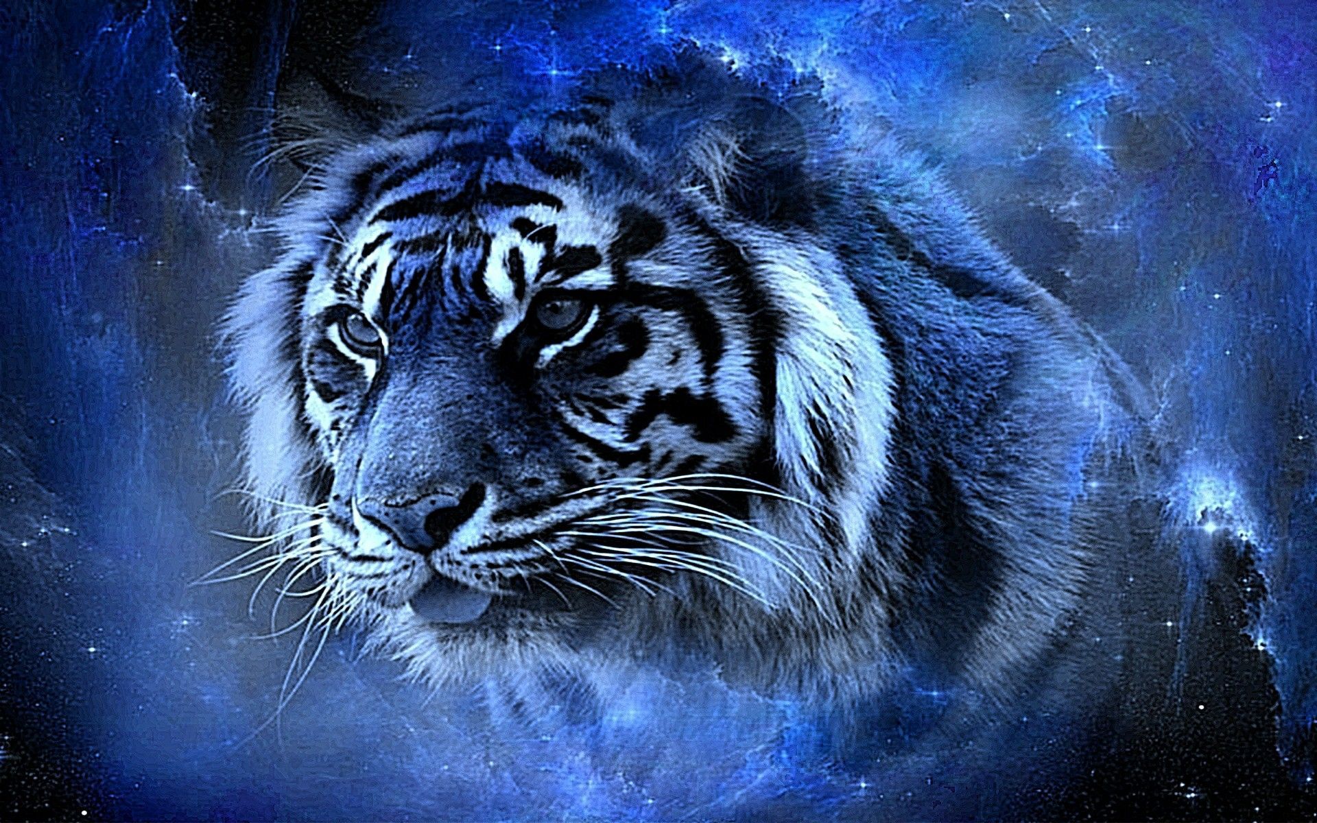 Free download Tiger Wallpapers Top Free Tiger Backgrounds [1920x1080] for  your Desktop, Mobile & Tablet | Explore 35+ Tiger Backgrounds | Tiger  Wallpaper, Mac Tiger Wallpaper, Siberian Tiger Wallpapers