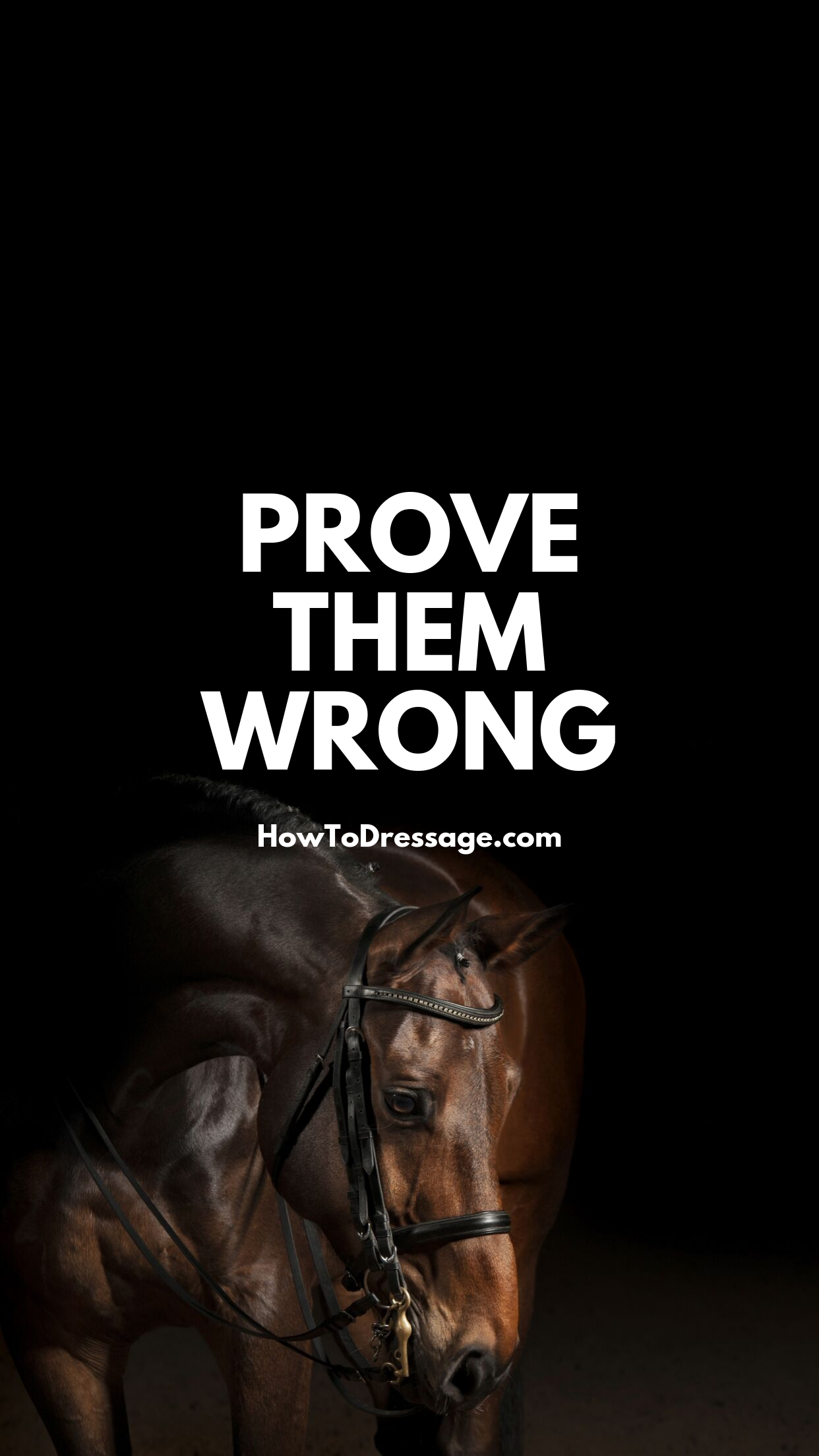 PROVE THEM WRONG WALLPAPER. Inspirational horse quotes, Equestrian quotes, Horse quotes