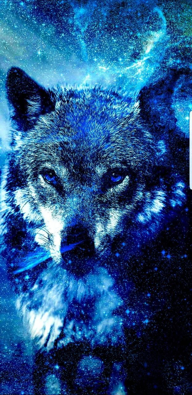 Wolf Wallpaper Cool