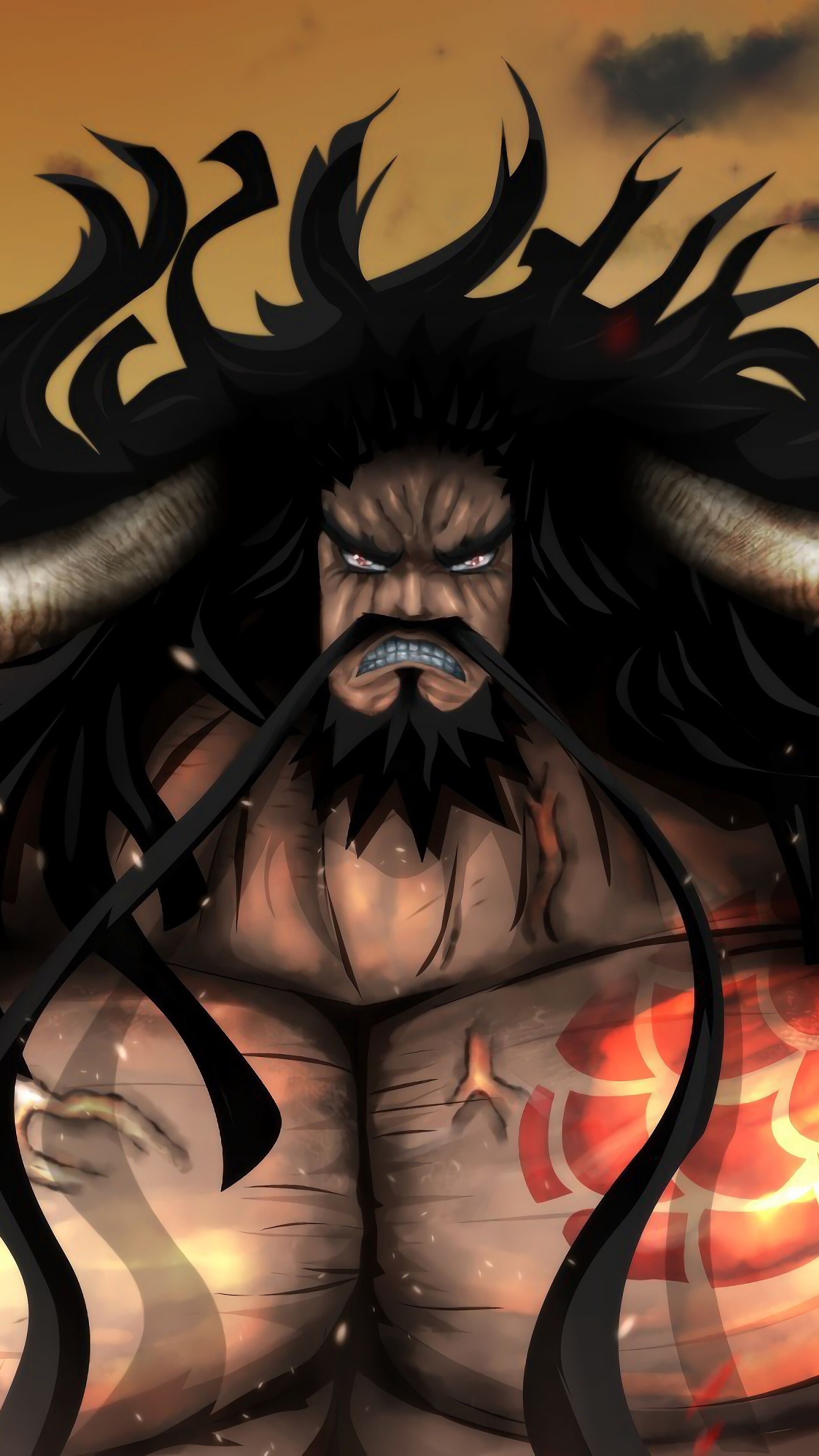 Kaido, One Piece, 4K phone HD Wallpaper, Image, Background, Photo and Picture. Mocah HD Wallpaper