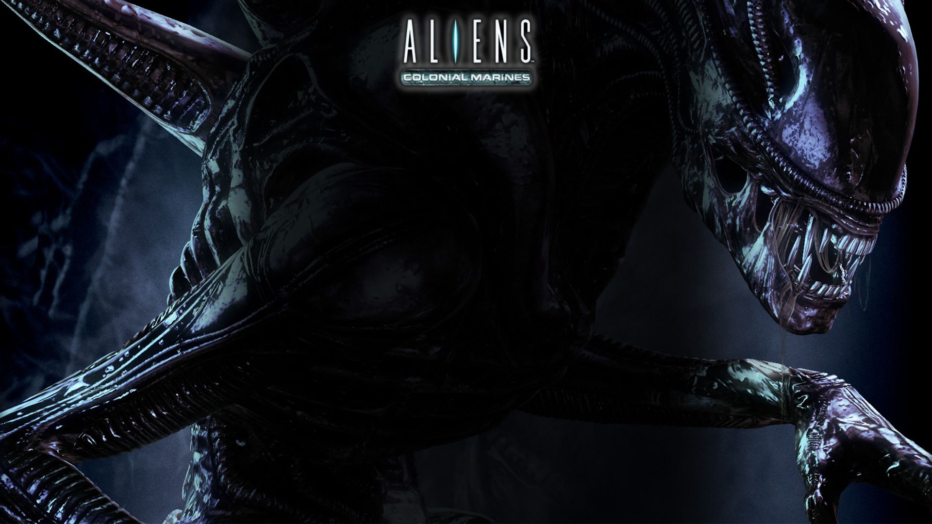 Alien Movie Wallpaper