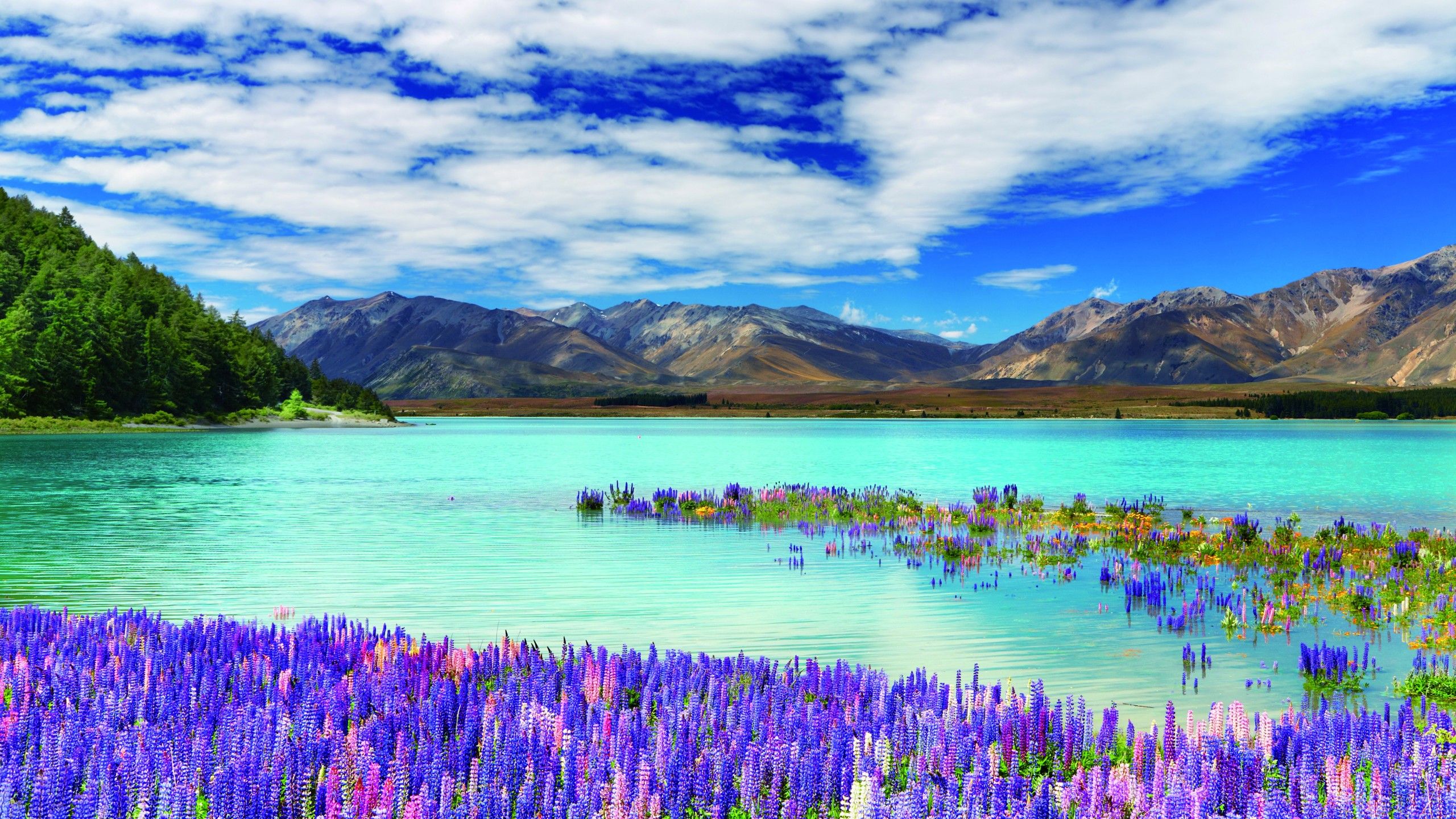 Wallpaper New Zealand, river, mountains, flowers, clouds, 4k, Nature