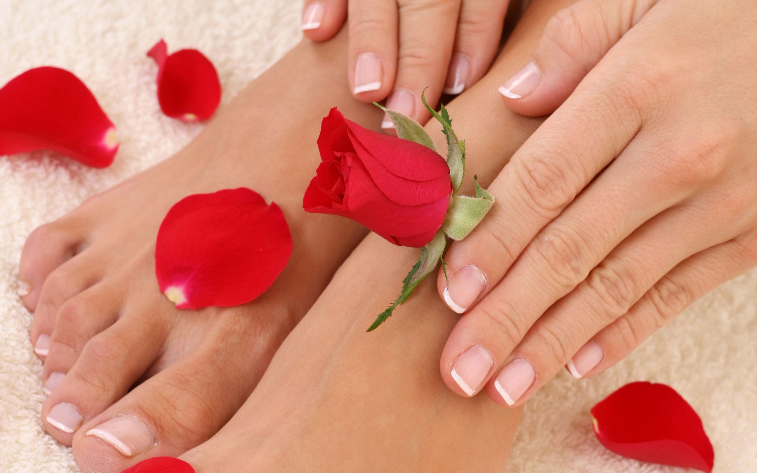 Pedicure Wallpaper