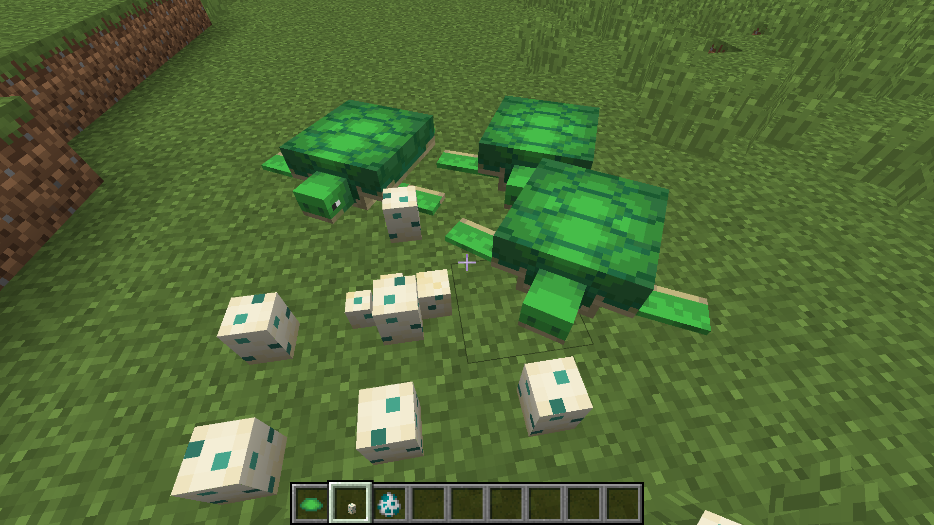 Minecraft Turtle Wallpaper