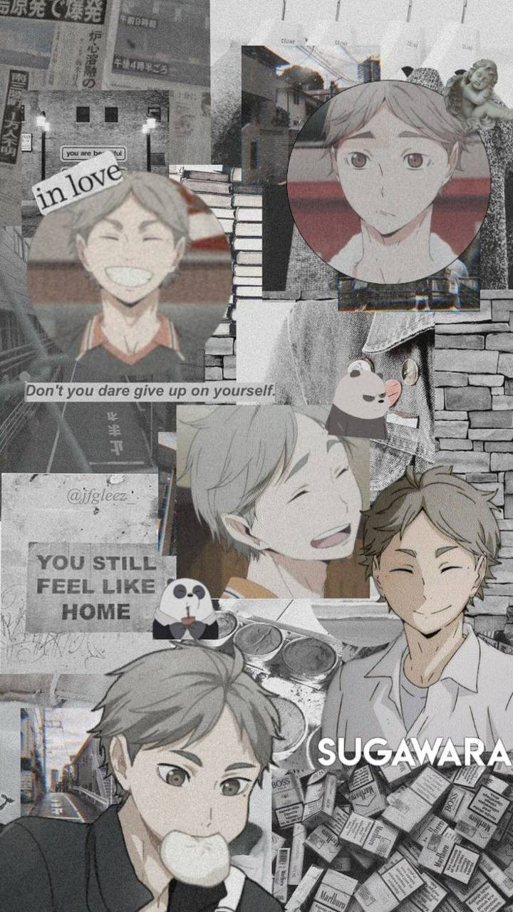 Download Sugawara Wallpaper HD
