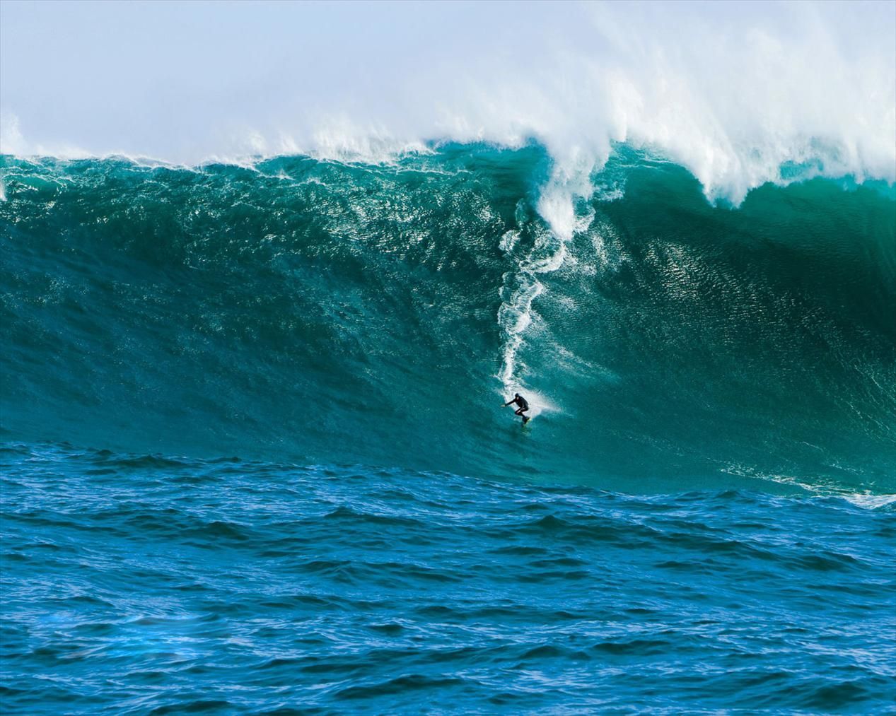 Surf Wave Wallpaper