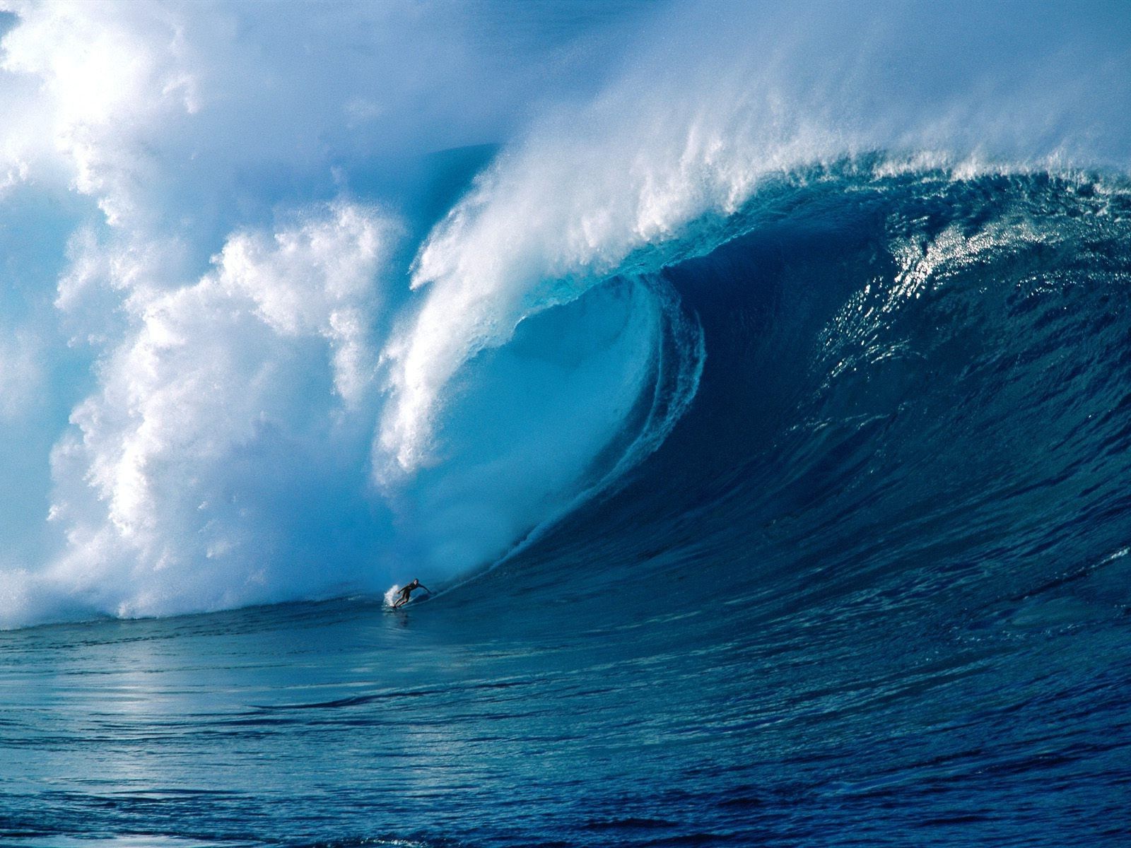 Giant Wave Surfing Vidios