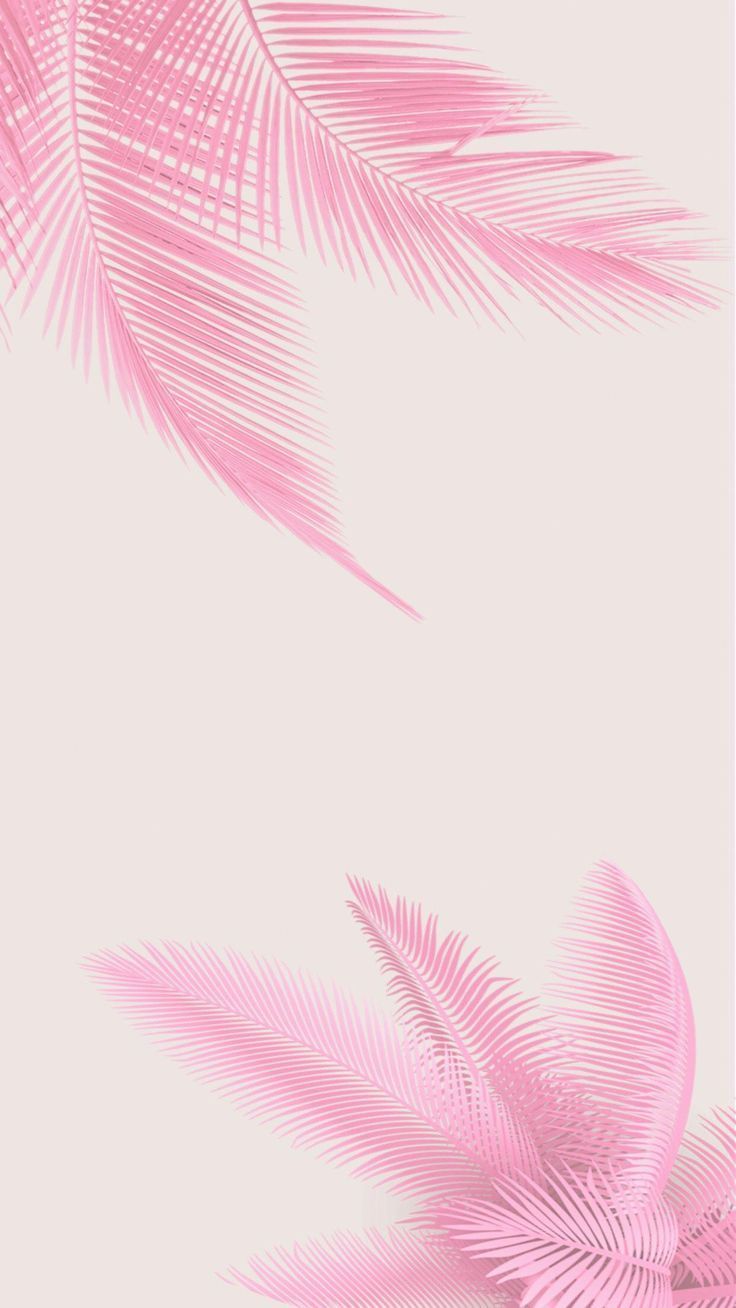 Best All Things Pink image. Pink, Pink aesthetic, Everything pink. Tree wallpaper, Palm trees wallpaper, Tree wallpaper design