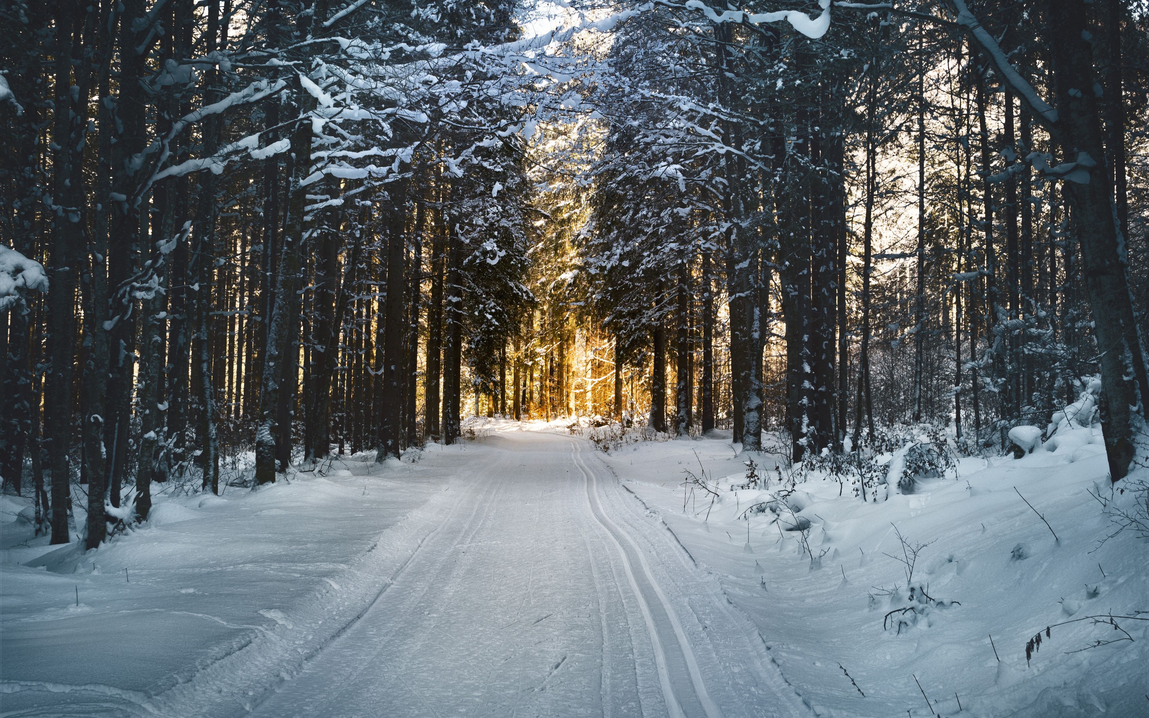 Download Winter, road, skiing, sunlight, nature wallpaper, 3840x 4K Ultra HD 16: Widescreen