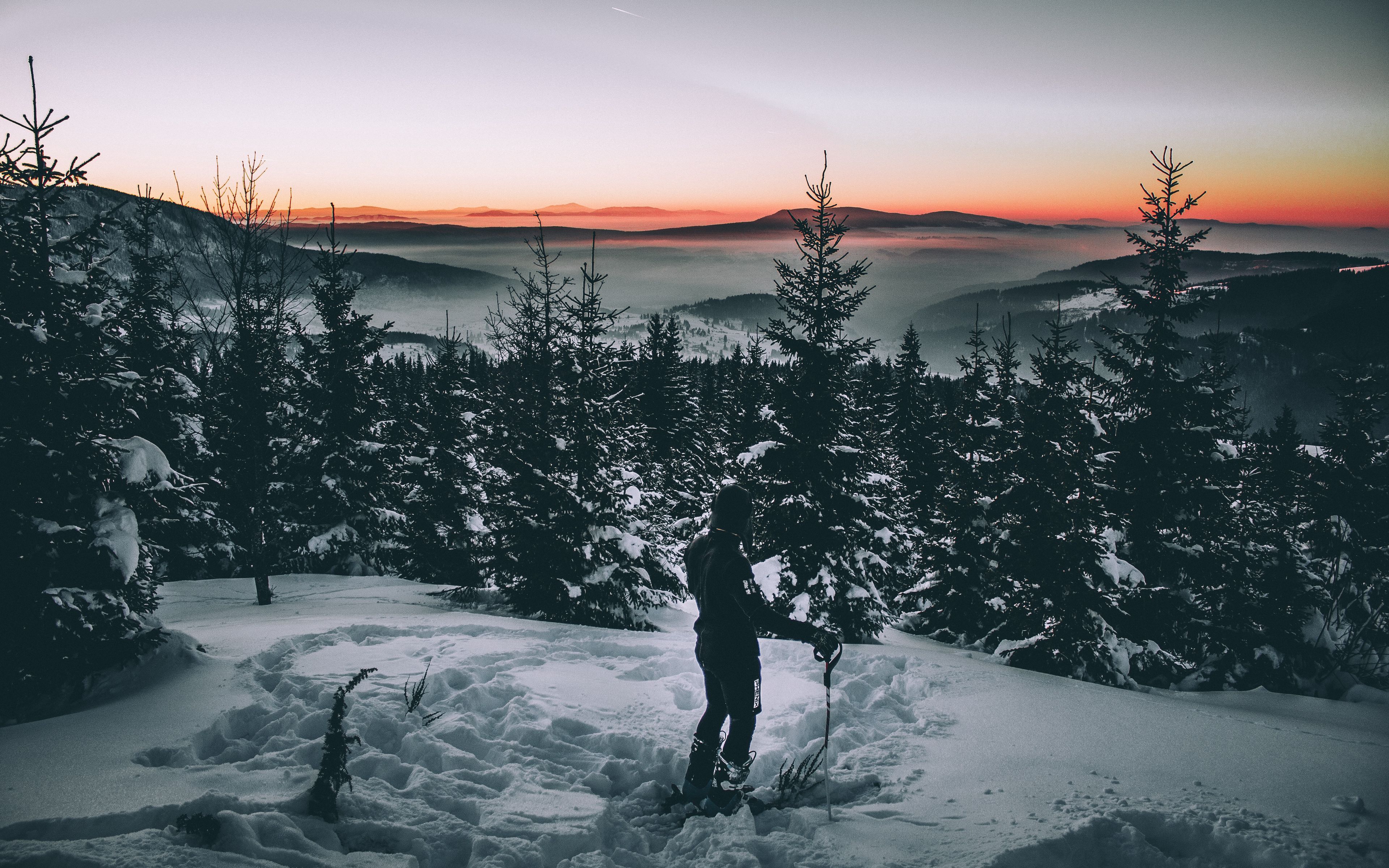 Download wallpaper 3840x2400 skier, snow, winter, trees 4k ultra HD 16:10 HD background