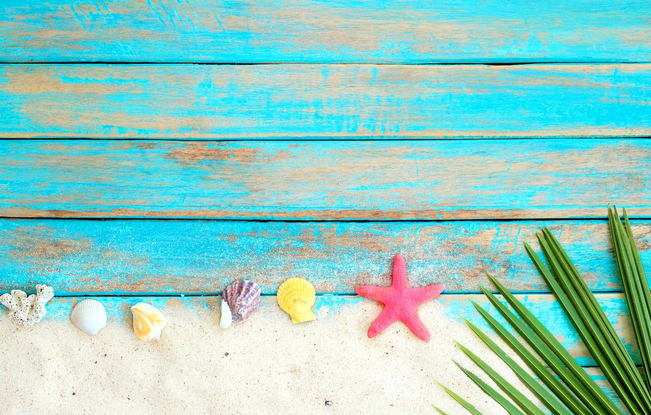 Wallpaper sand, beach, background, Board, star, shell, summer, beach, wood, sand, marine, starfish, seashells image for desktop, section разное