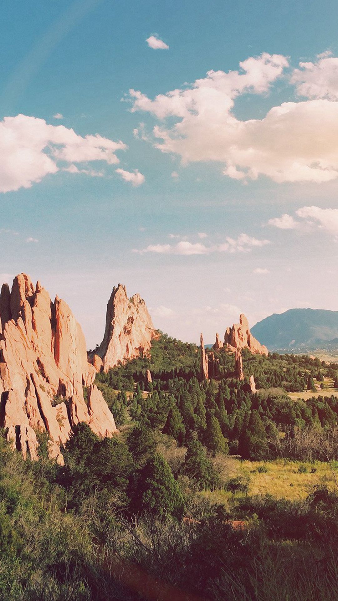 Mountain Nature Summer Wood Tree Flare #iPhone #plus #wallpaper. Wallpaper iphone summer, Tree wallpaper iphone, iPhone 6s wallpaper