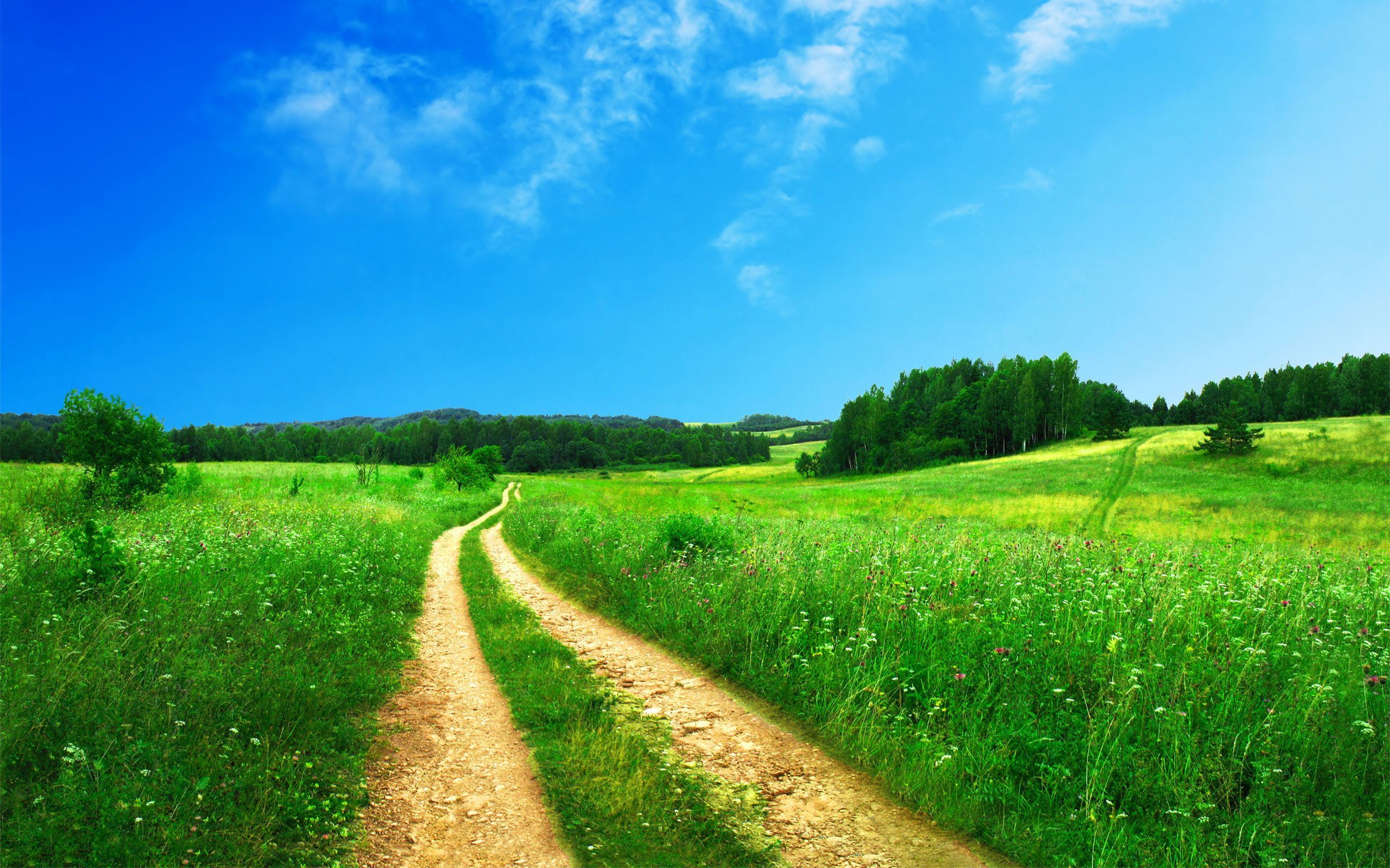 Summer Countryside Wallpaper Free Summer Countryside Background