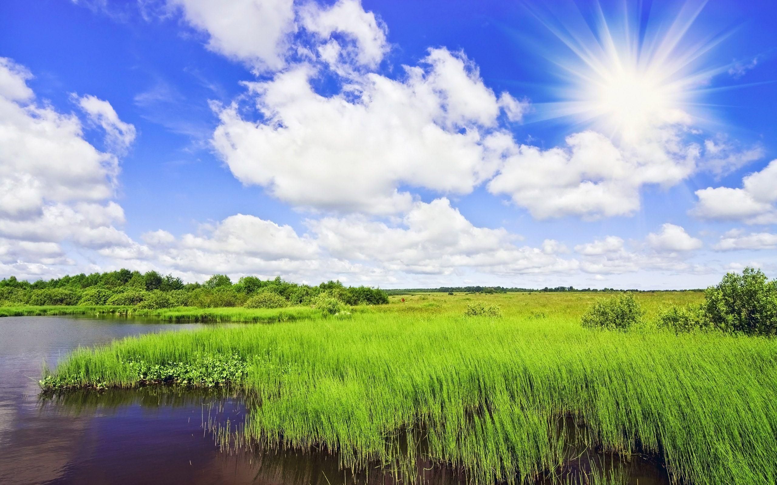 Sunny Summer Day Wallpaper High Definition. Nature picture, Landscape, Nature