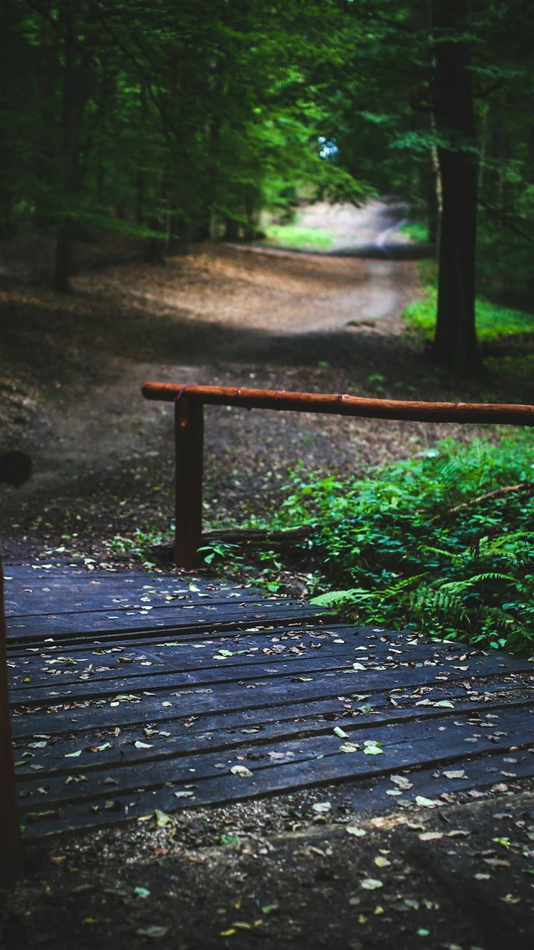 Wood Nature Forest Road Mountain Dark Summer iPhone 8 Wallpaper Free Download