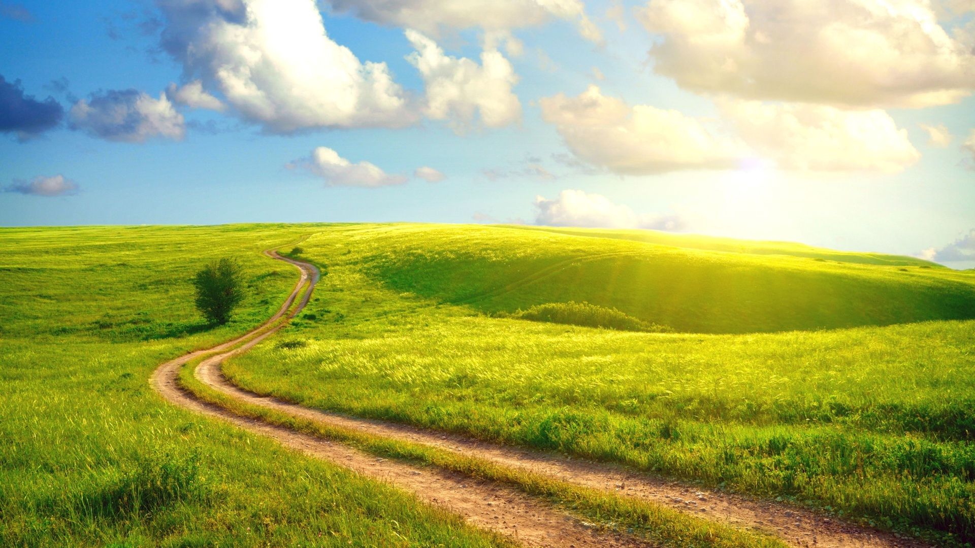 1920x1080 grass, road, summer, village, Sunshine day, country, thick