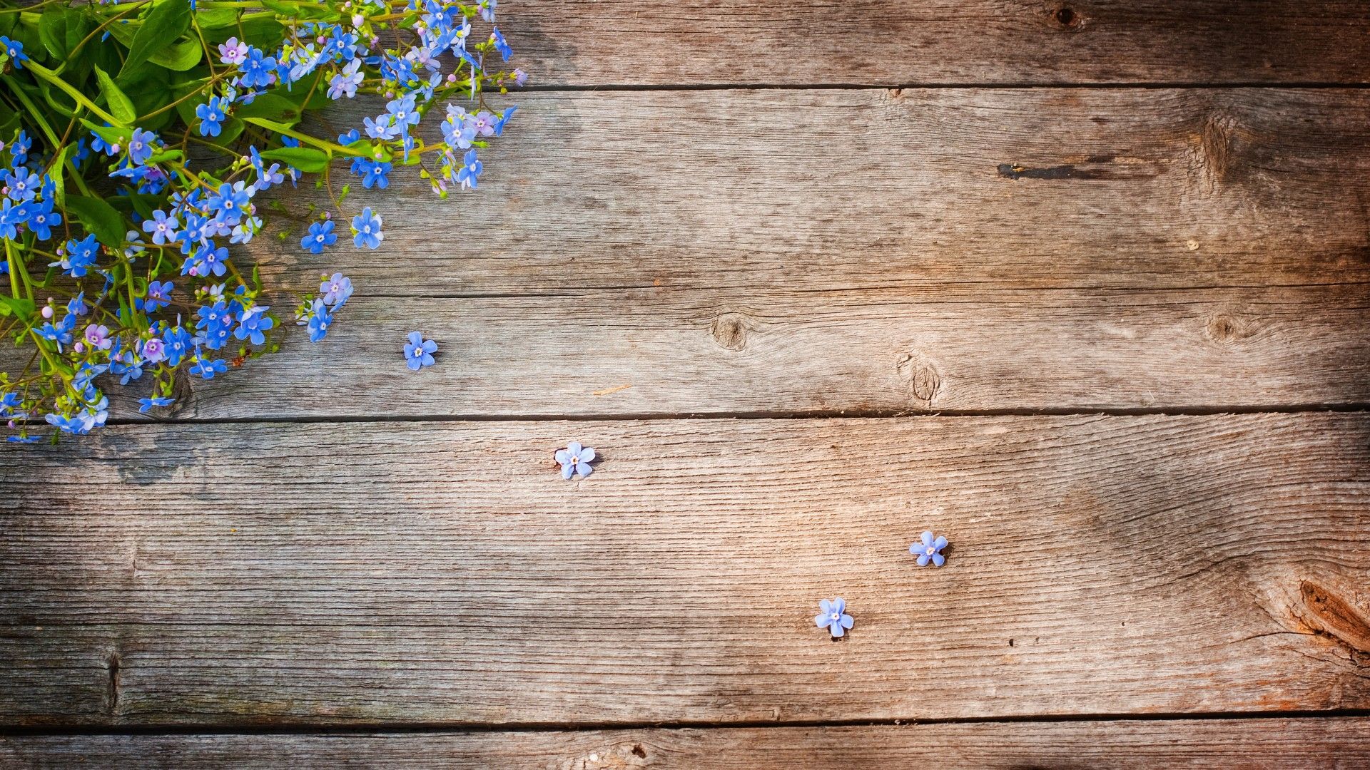 Free download Bouquet on wooden table wallpaper and image wallpaper picture [1920x1080] for your Desktop, Mobile & Tablet. Explore Table Wallpaper. Vintage Wallpaper Table, Wallpaper Cutting Table, Professional Wallpaper Tools