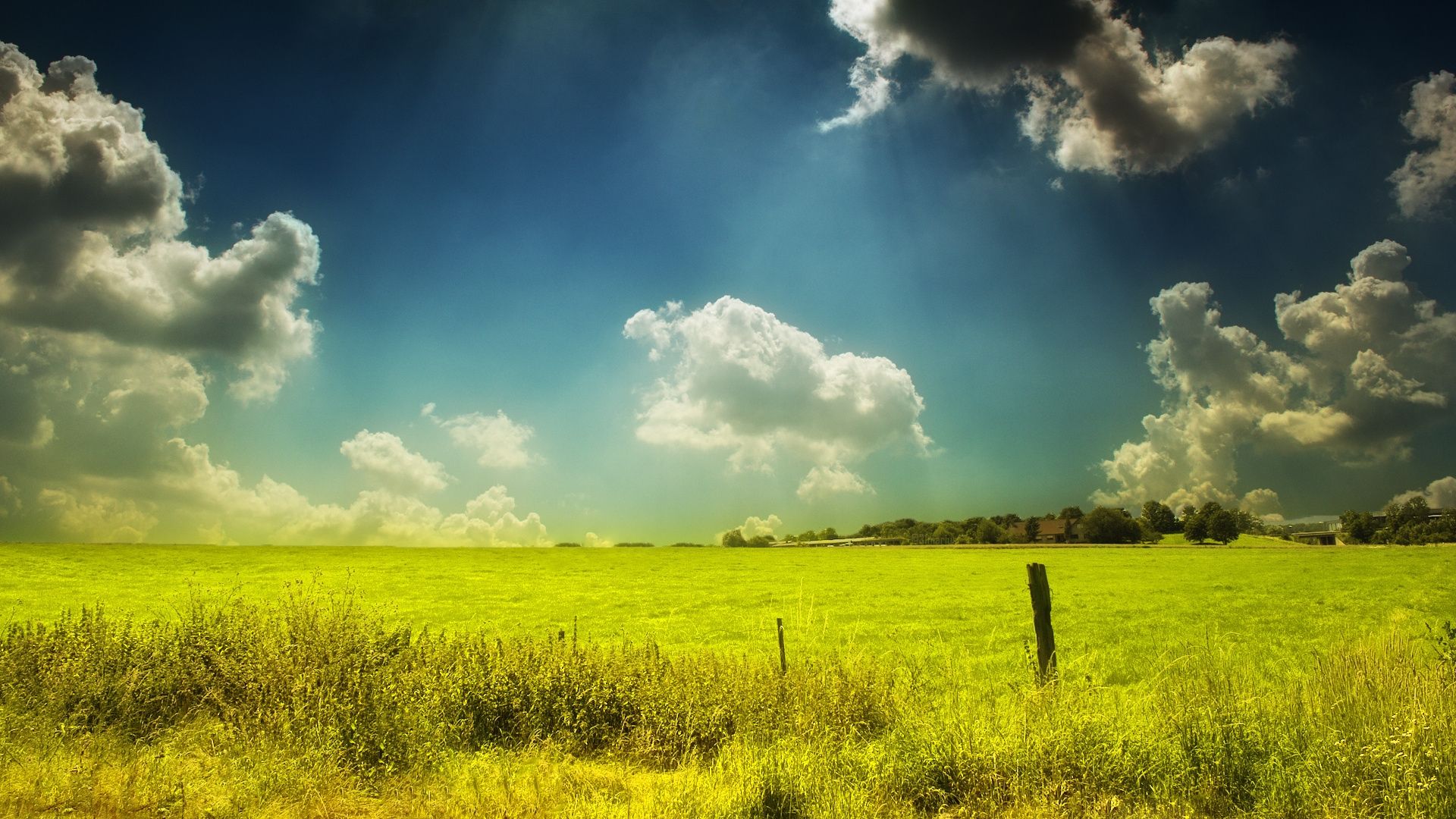 Wallpaper, field, pasture, sky, clouds, day, summer, paints, colors 1920x1080
