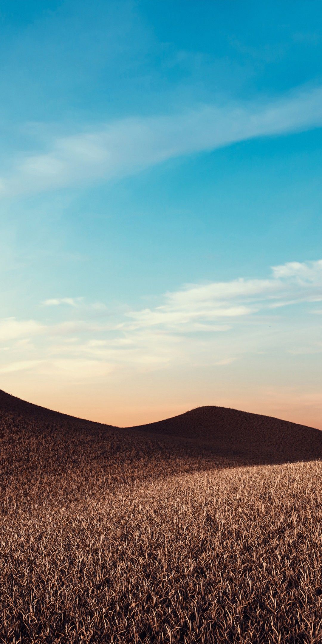 Dry fields 4K Wallpaper, Sunny day, Summer, Landscape, Nature