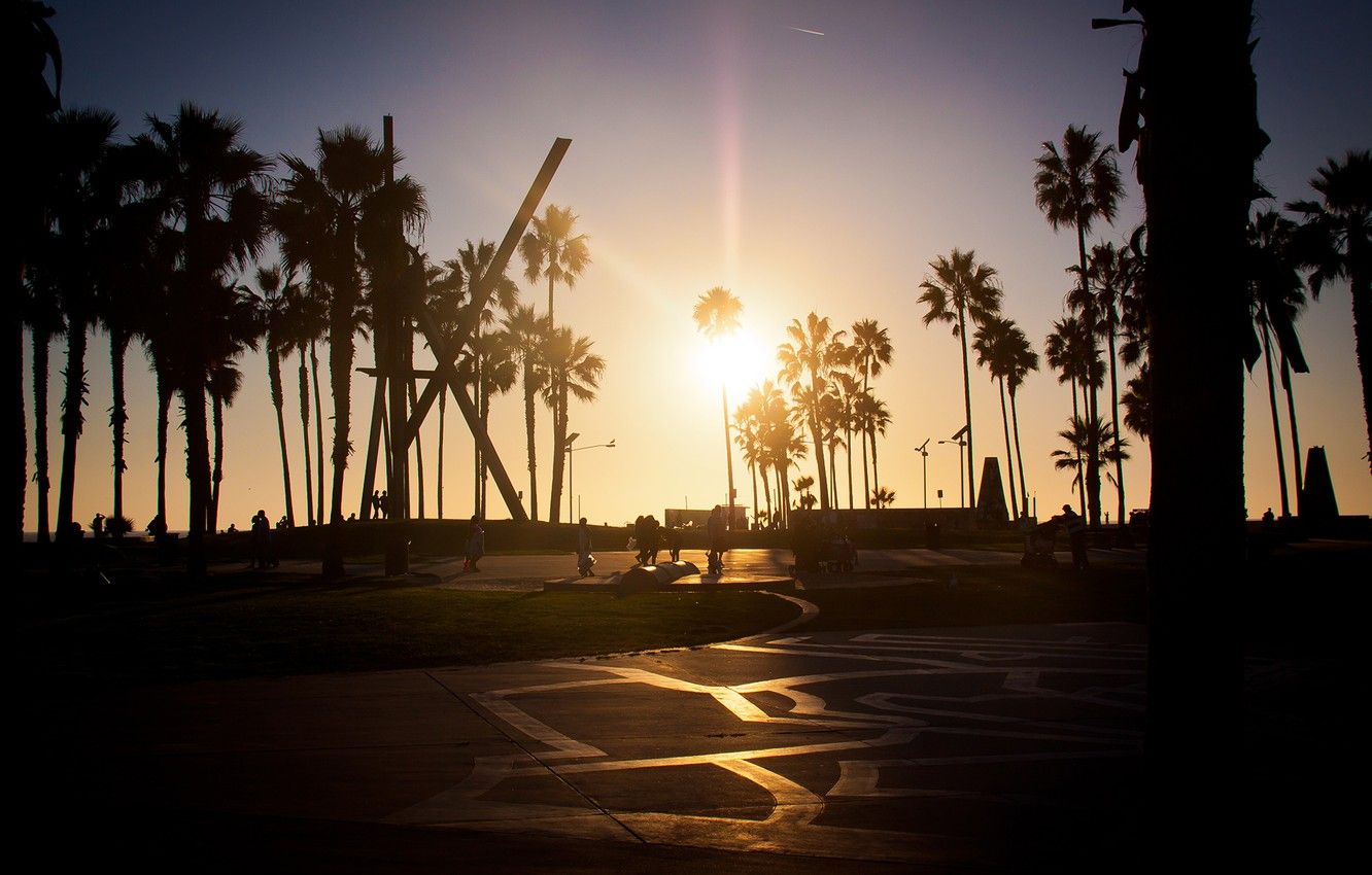 Wallpaper summer, california, sunset, los angeles, palm, venice beach image for desktop, section город