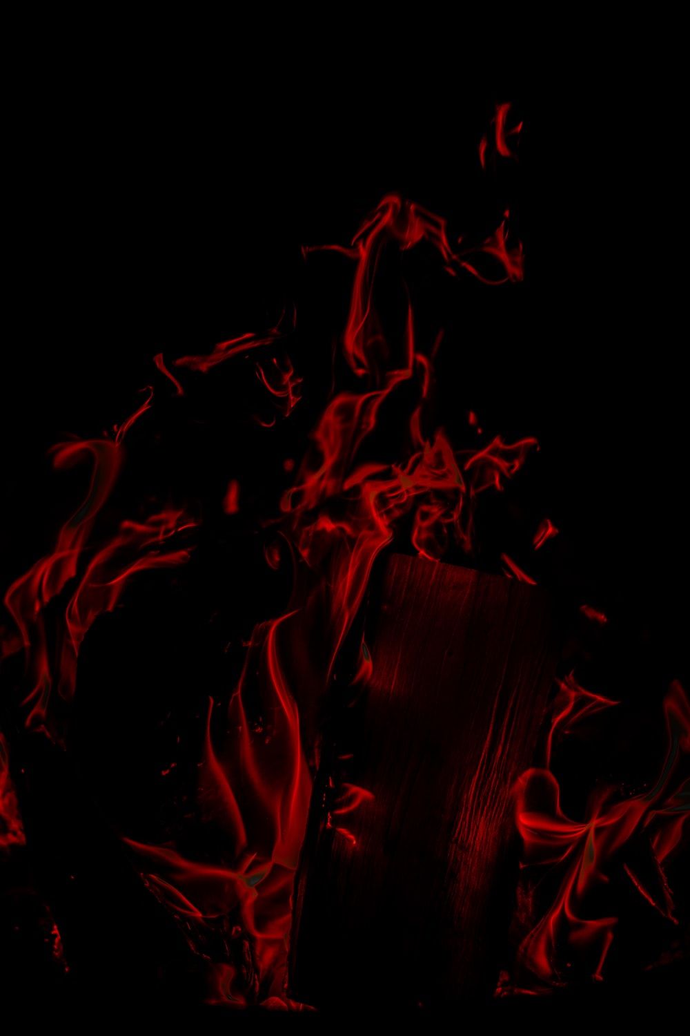 red and black fire digital wallpaper photo
