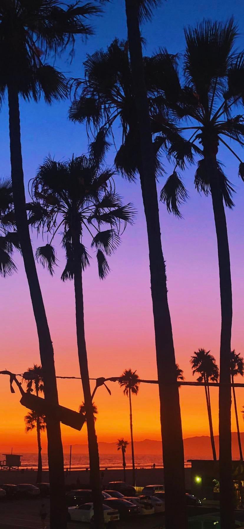 LA sunset. iPhone X Wallpaper X Wallpaper HD