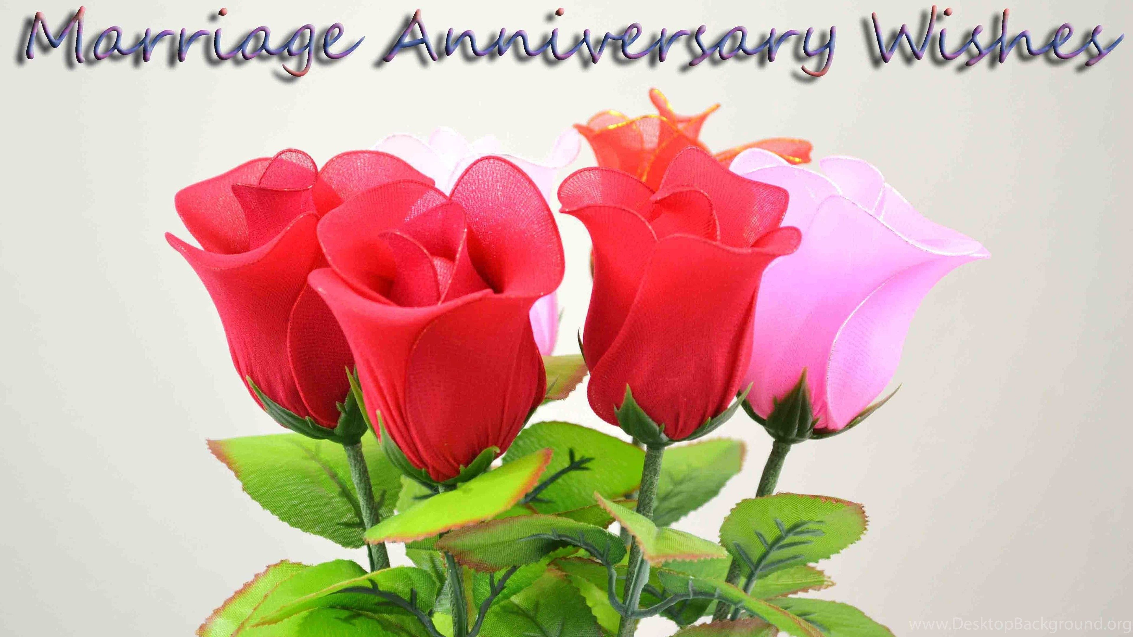 Wishes Happy Anniversary Saying HD Wallpaper With Roses Desktop Background