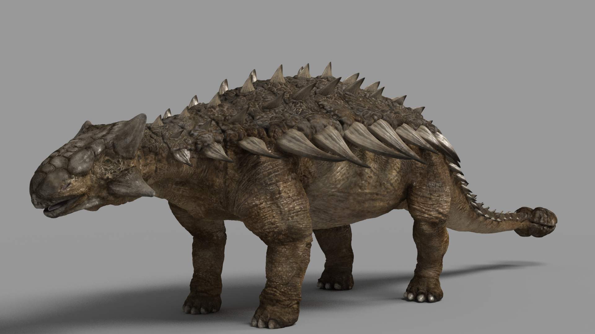 Ankylosaurus Wallpapers Wallpaper Cave Ankylosaurus Wallpapers Wallpaper Cave