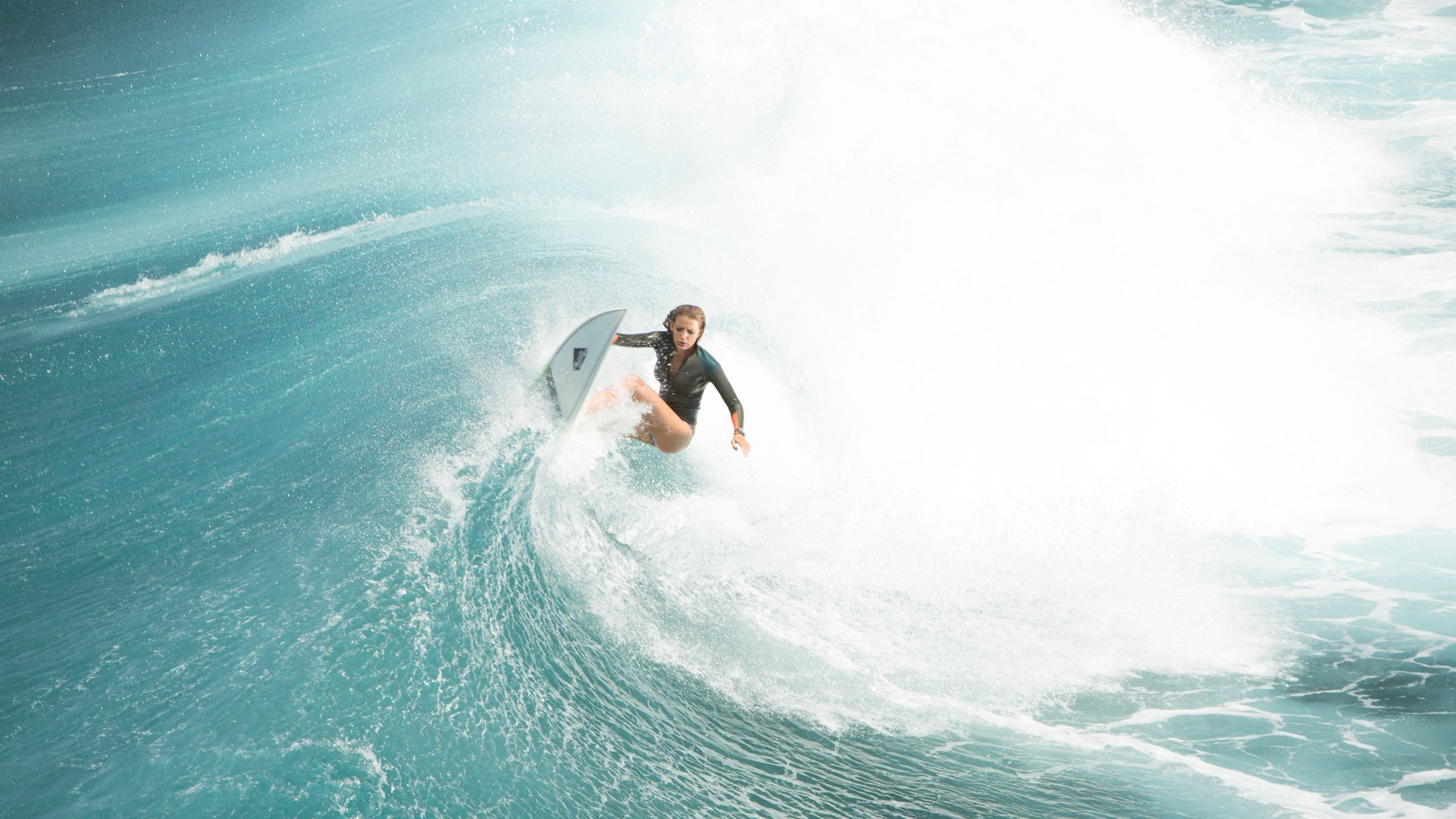 Blake Lively The Shallows Wallpaper in jpg format for free download