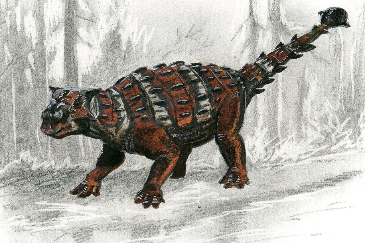 image Tuomas Koivurinne Dinosaurs Ankylosaurus Pictorial art animal