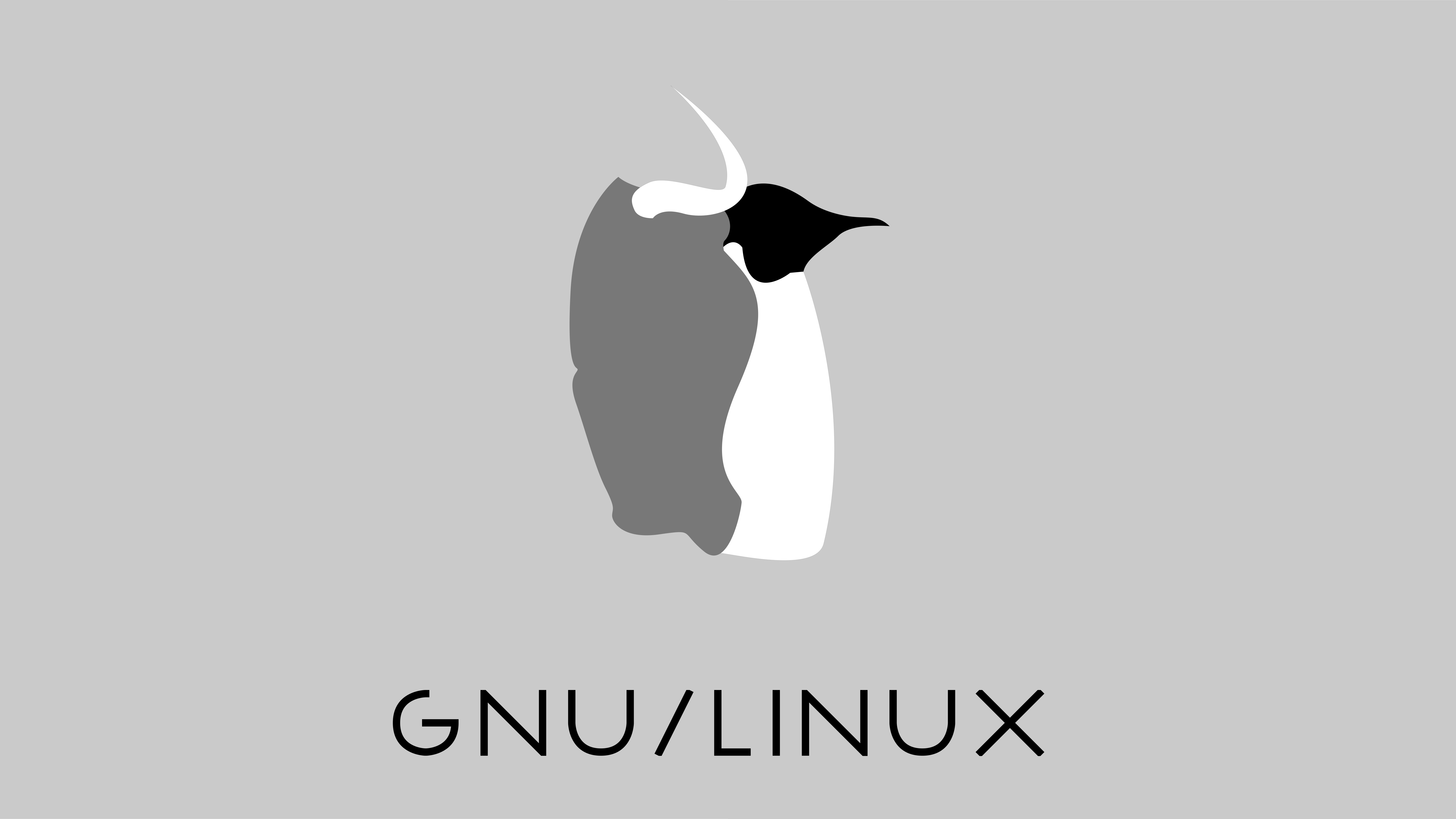GNU Linux Minimalist