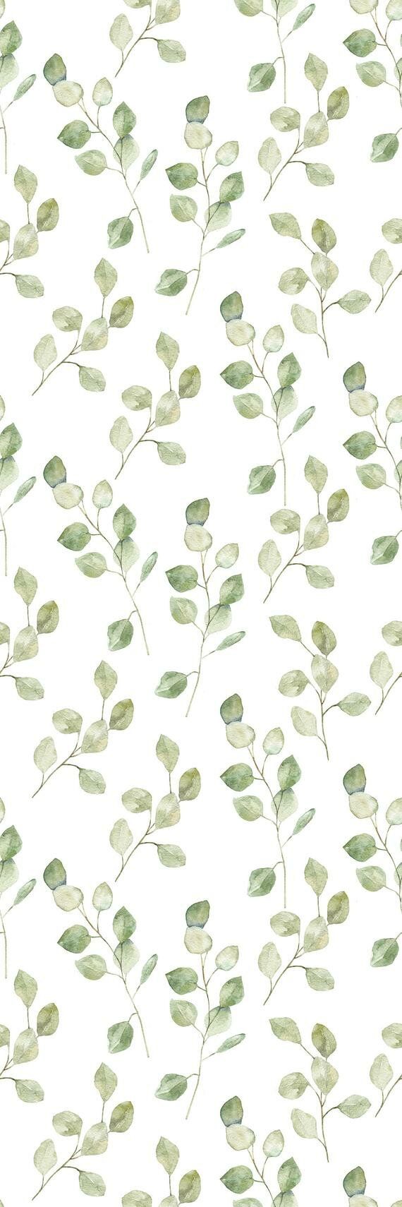 Gracie Oaks Lilwen Removable Green Leaves on White Background 4.17' L x 25 W Peel and Stick Wallpaper Roll
