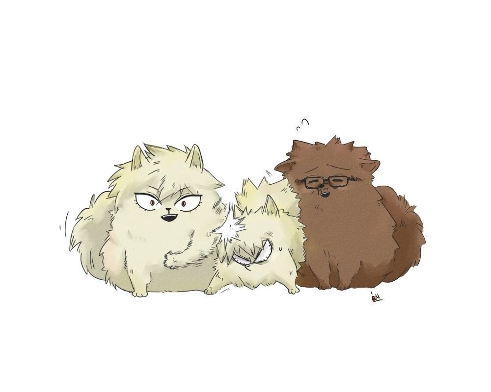 Dog] Bakugou Mitsuki & [Dog] Bakugou Katsuki & [Dog] Bakugou Masaru. My hero academia episodes, Boku no hero academia funny, Hero wallpaper