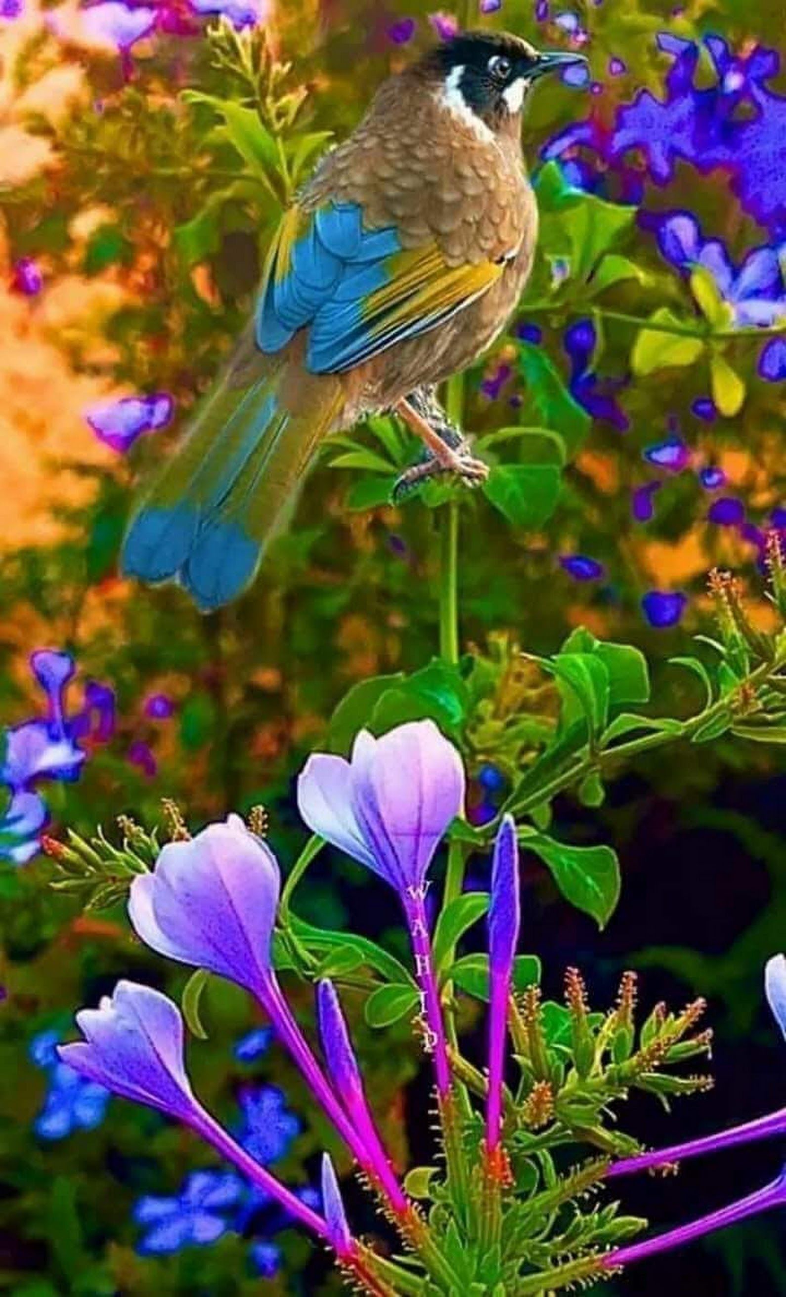 Beautiful Bird and Flower Wallpaper Free Beautiful Bird and Flower Background