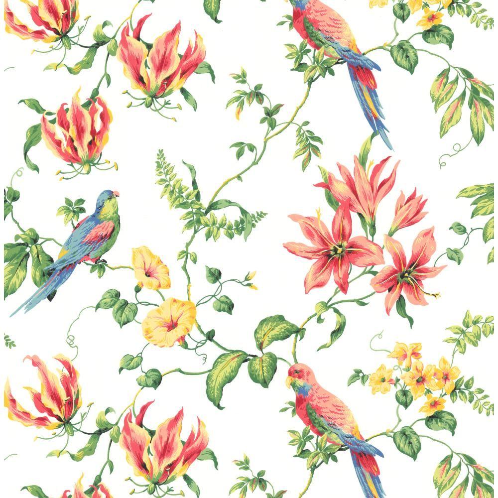 Exotic Bird Flowers Wallpaper