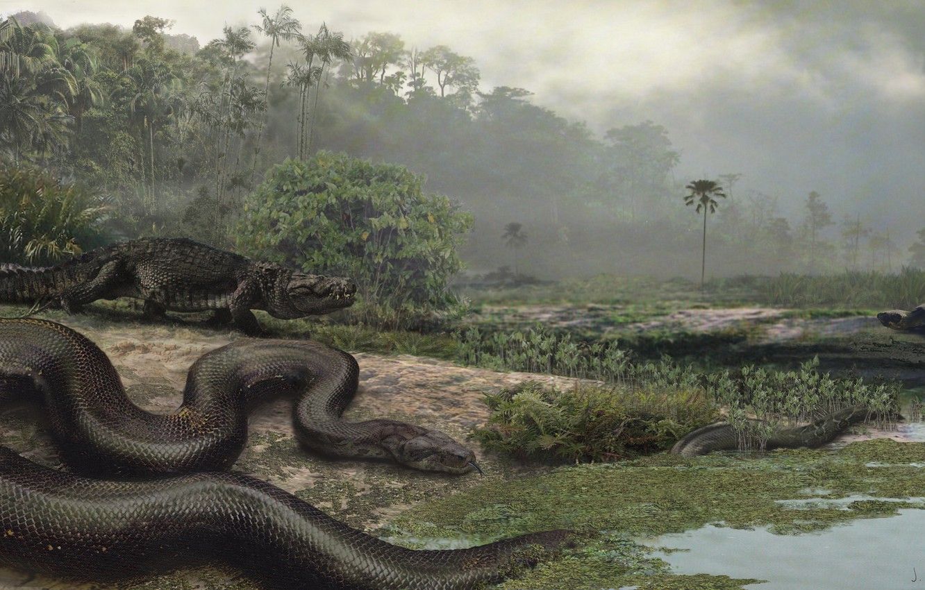 Wallpaper Illustration, Titanoboa Cerrejonensis, Giant Snake, Paleocene image for desktop, section живопись