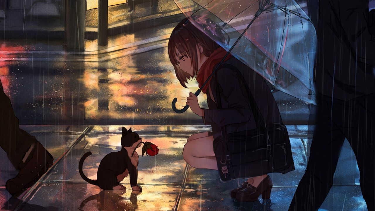 Wallpaper girl, kitten, flower, anime, street, rain hd, picture, image