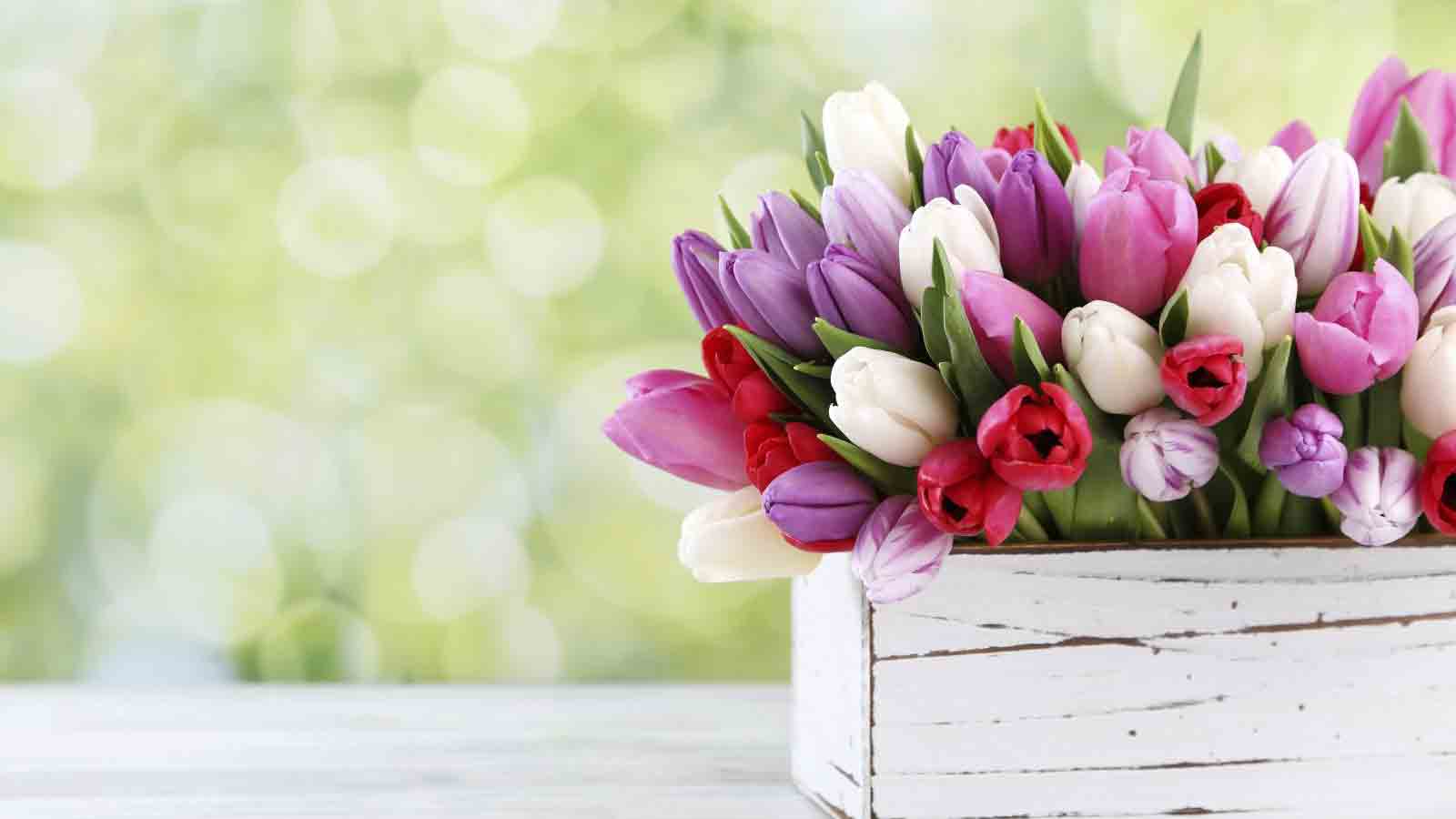 FELIZ DÍA, MAMÁ! de Modaintimashop.com