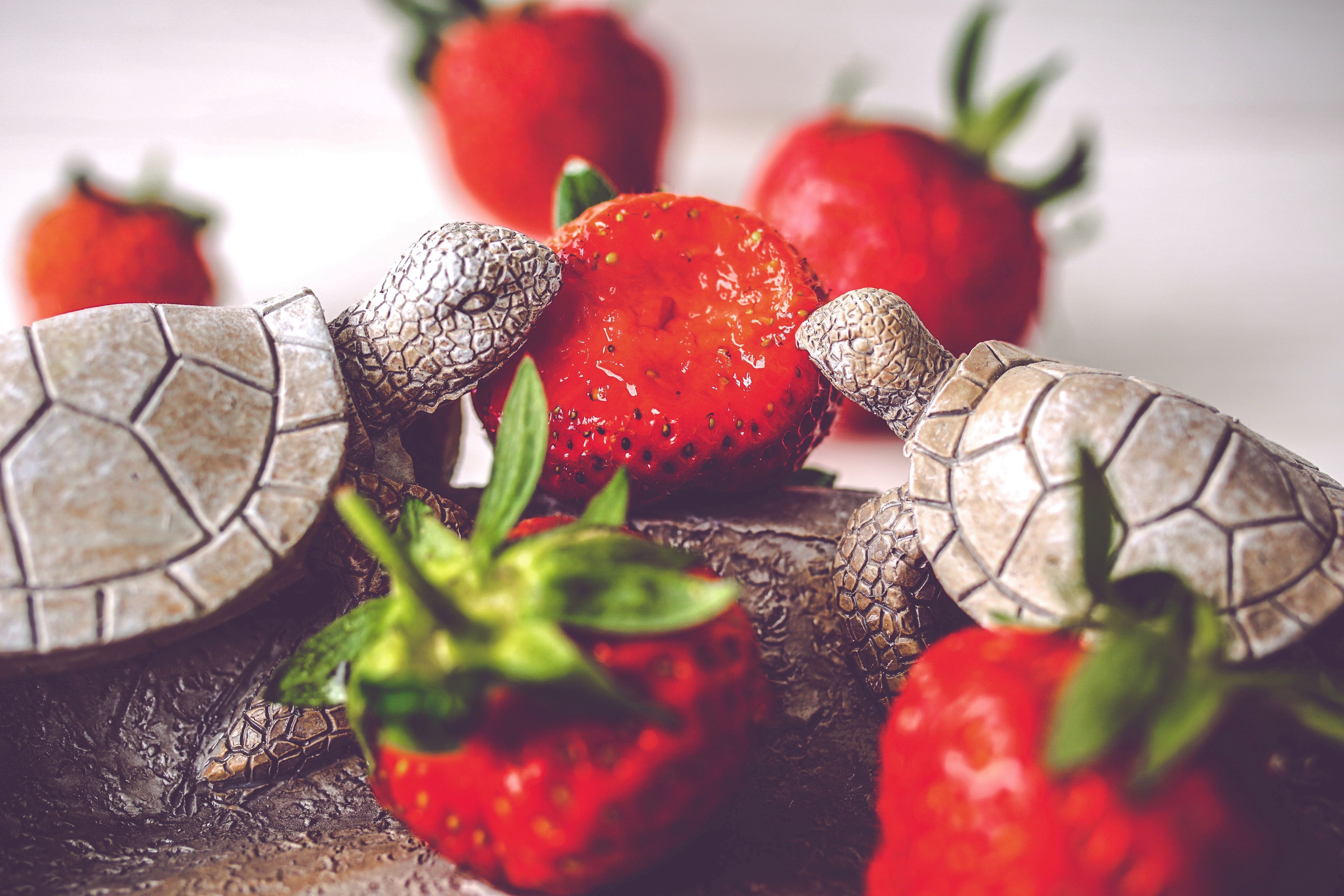 Turtle Figurines with Strawberries · Free