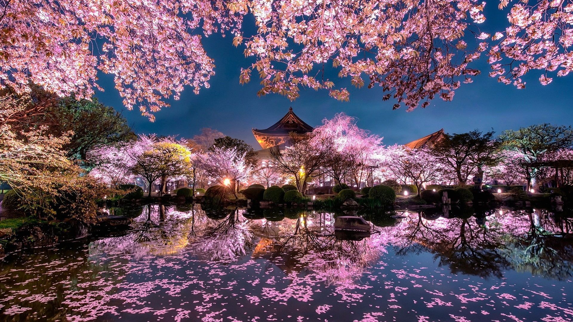 reflection #pond #dusk #evening #blossom #night spring night #spring #april sakura tree #kyoto. Japan photography, Architecture background, Japanese architecture