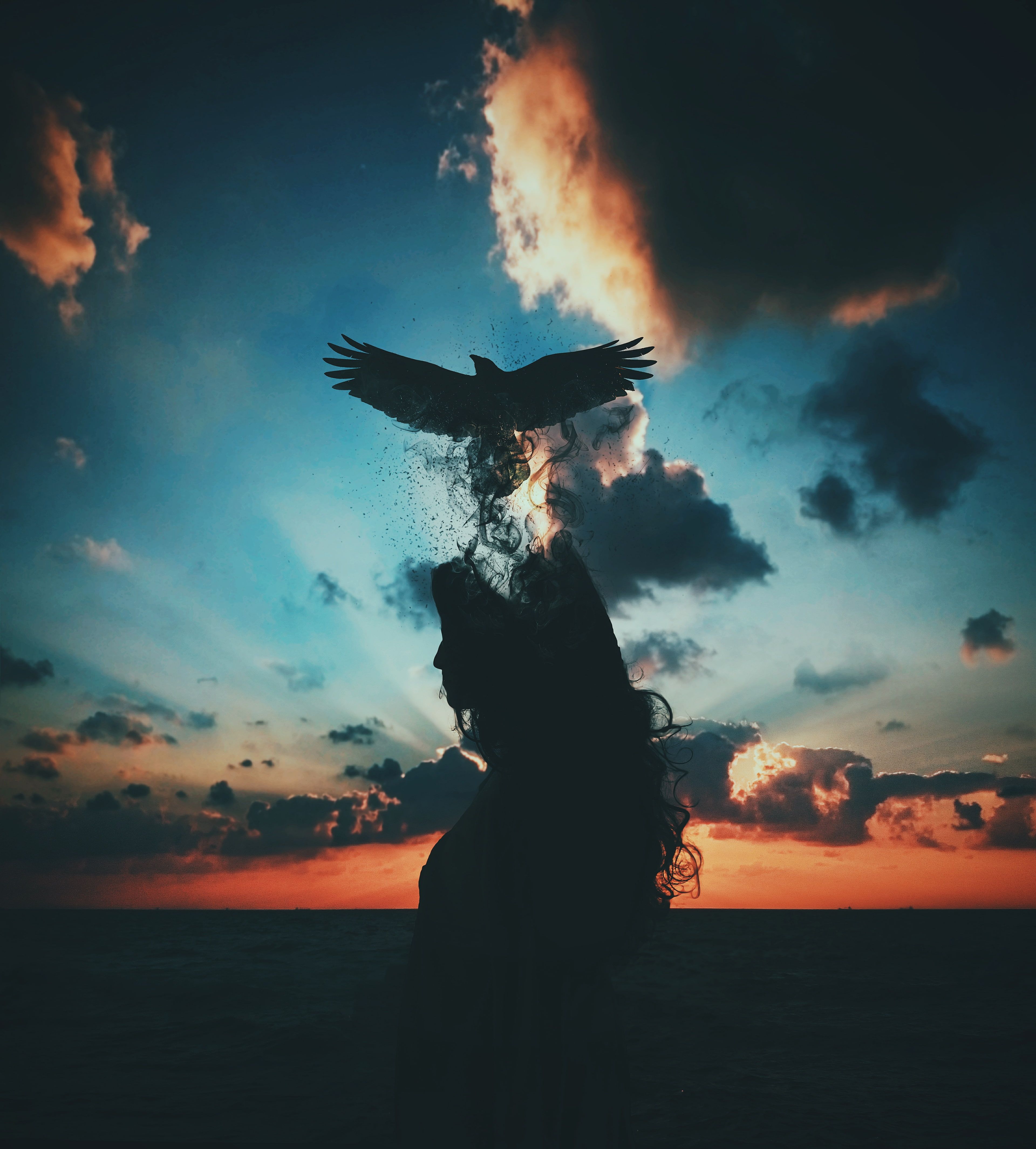 raven photograph with sunset background #Freedom Break free #Alone #Bird #CGI K K #wallpape. Background image wallpaper, Wallpaper background, Sky picture