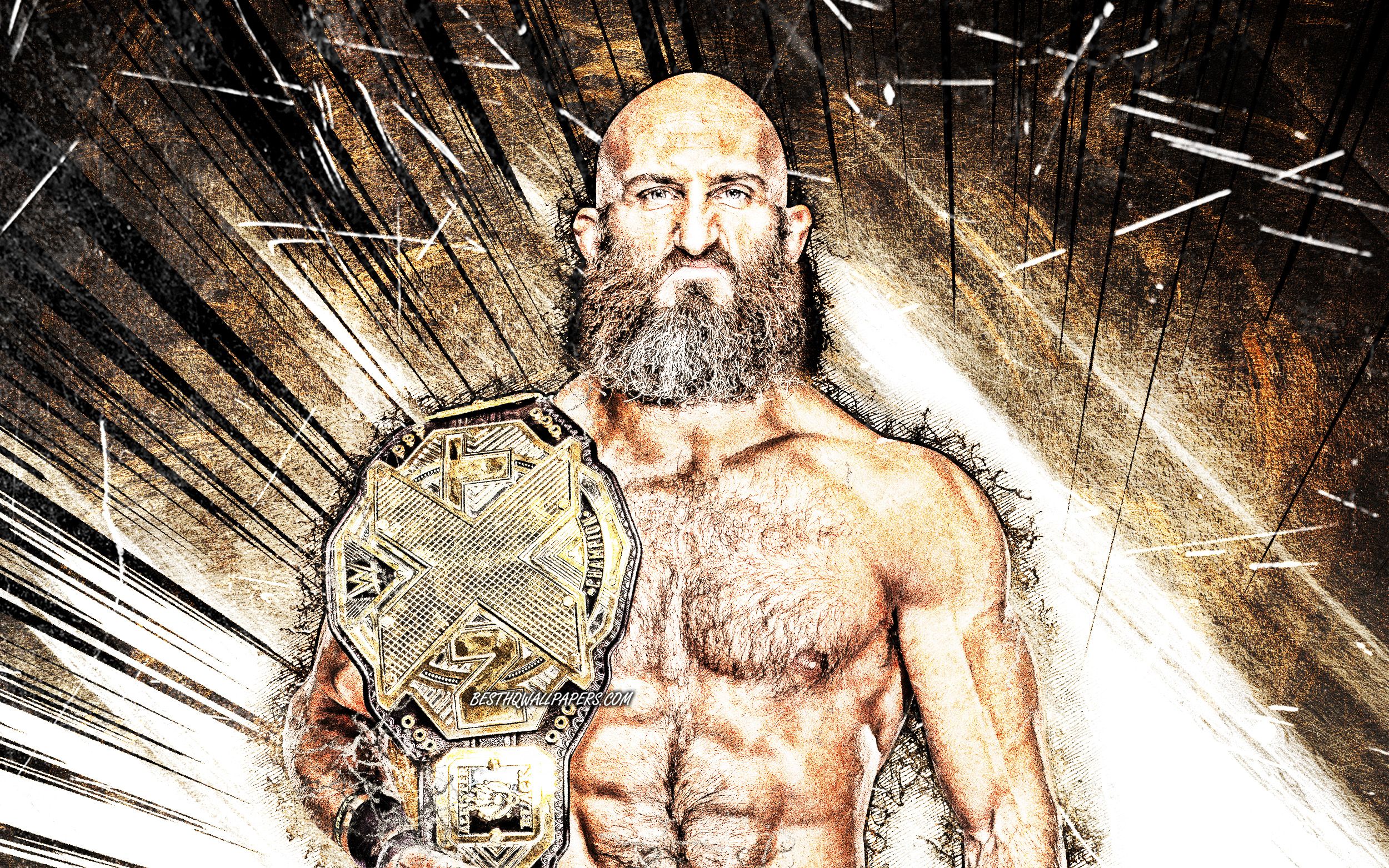 Download wallpaper Tommaso Ciampa, WWE, grunge art, american wrestlers, wrestling, brown abstract rays, Tommaso Whitney, wrestlers for desktop with resolution 2500x1563. High Quality HD picture wallpaper