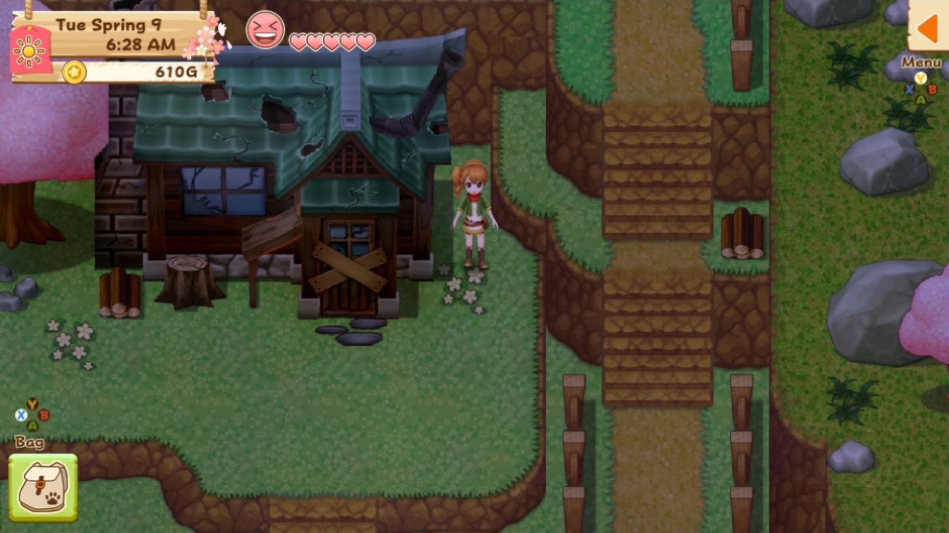 harvest moon light of hope for pc