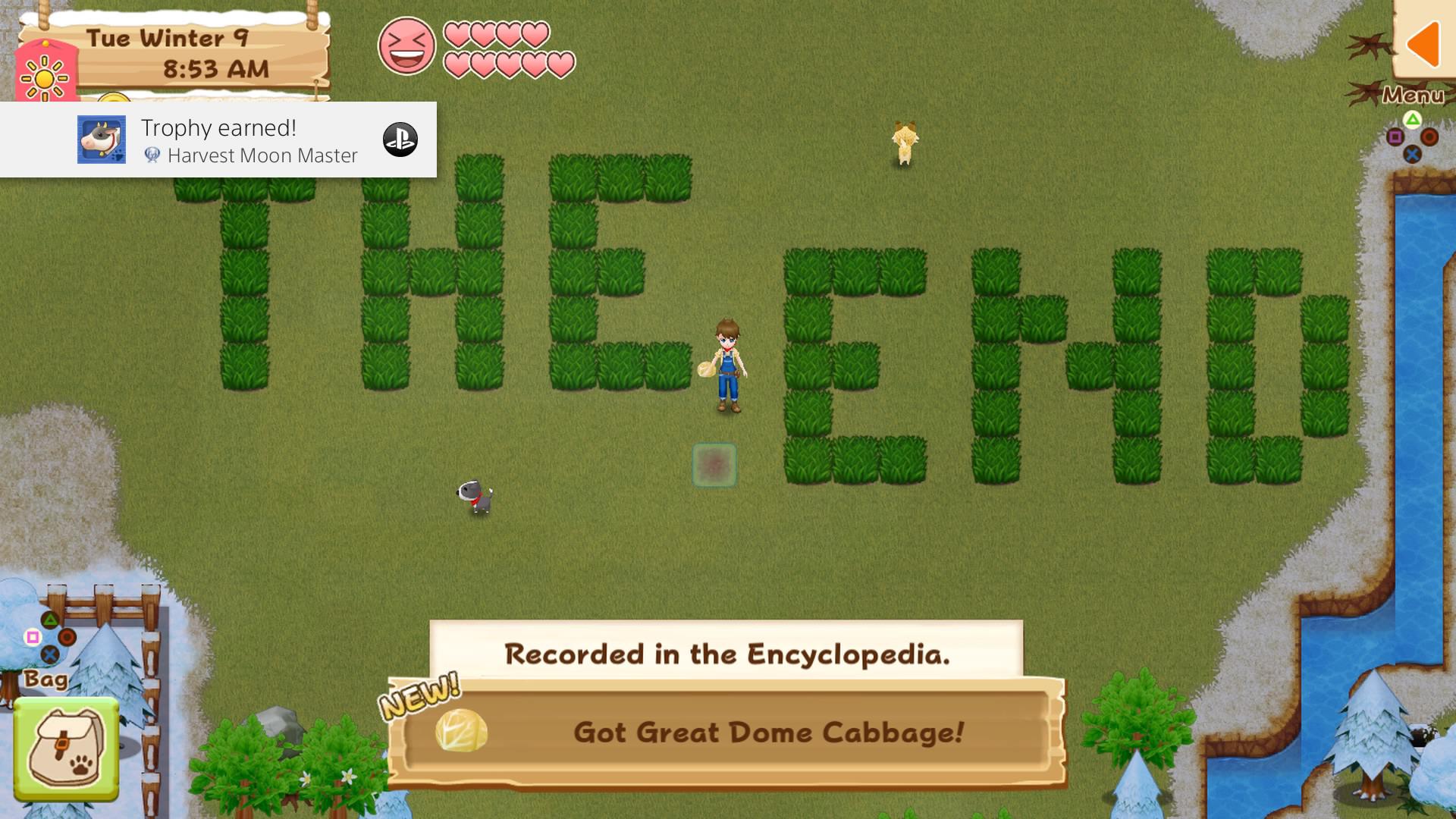 Harvest Moon, Light of hope Pretty chill game. but a very Grindy platinum