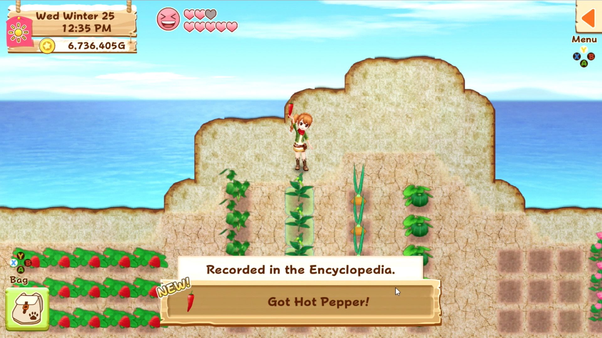 Harvest Moon: Light of Hope Special Edition on Steam