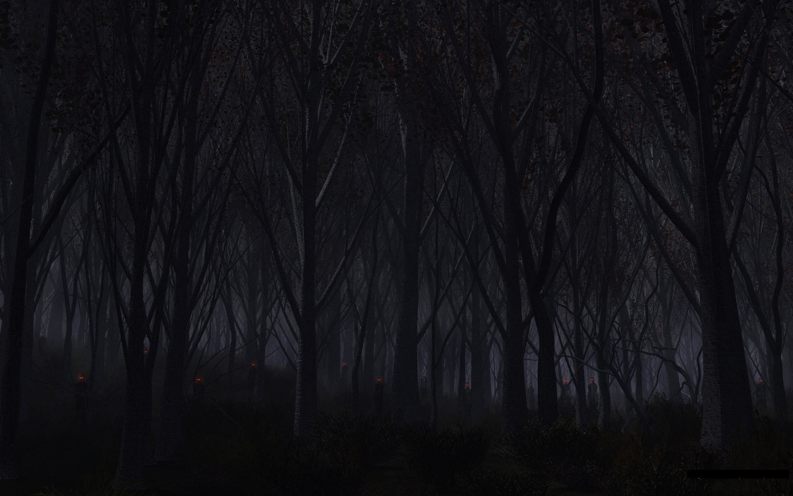 Scary forest, iPhone, Desktop HD Background / Wallpaper (1080p, 4k) (2560x1600) (2021)