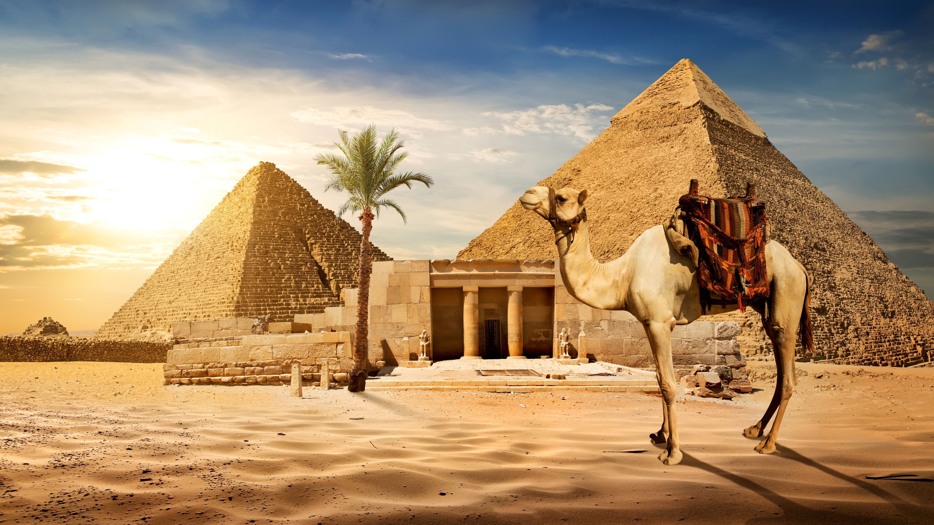 Wallpaper Cairo, pyramid, camel, sands, palm tree, sun, Egypt 3840x2160 UHD 4K Picture, Image