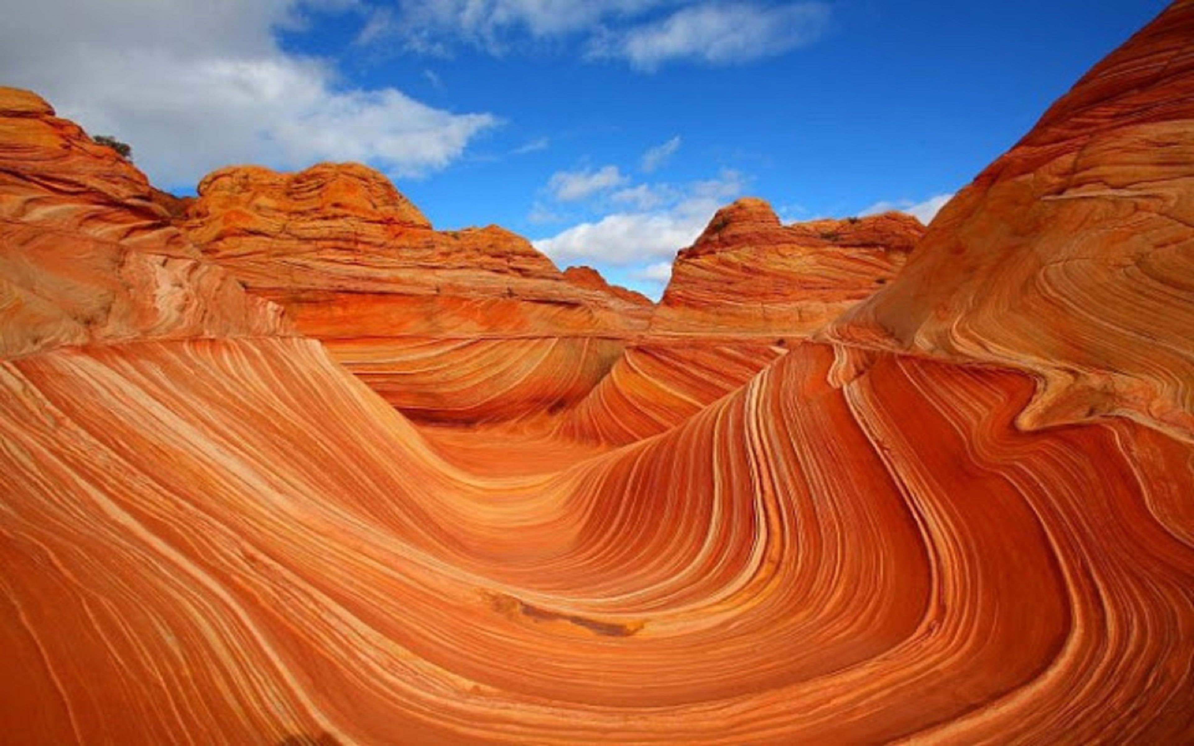 The Wave Coyote Buttes North & South Arizona & Utah K #wallpaper #hdwallpaper #desktop. The wave coyote buttes, The wave arizona, Coyote buttes north