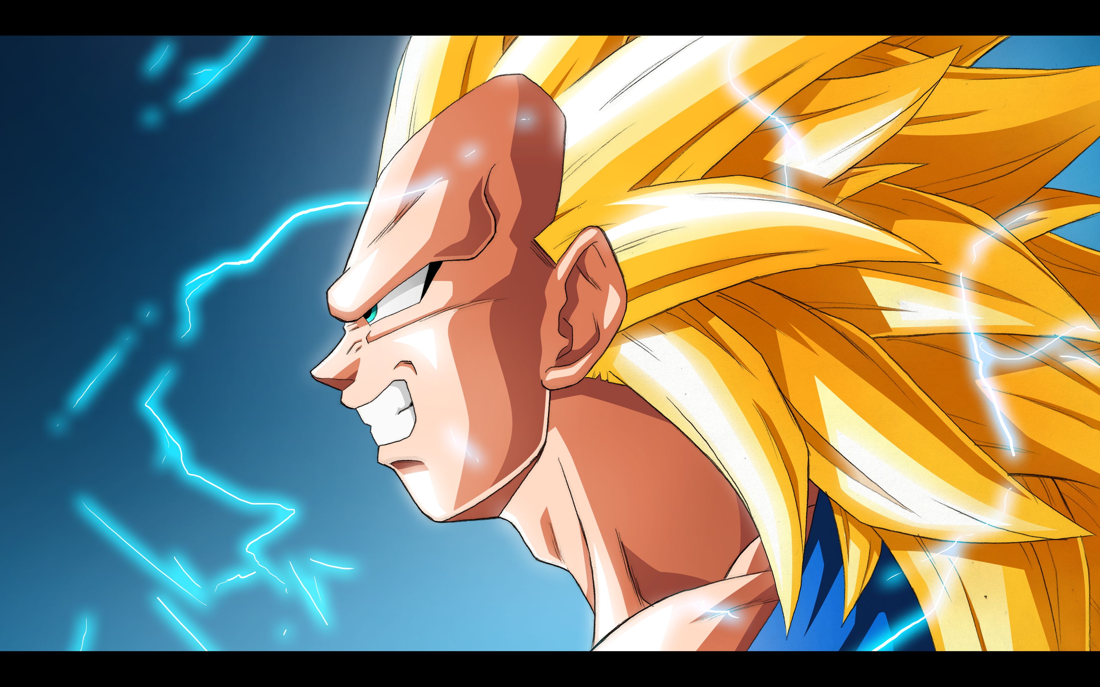 Vegeta Super Saiyan 3 HD Wallpaper