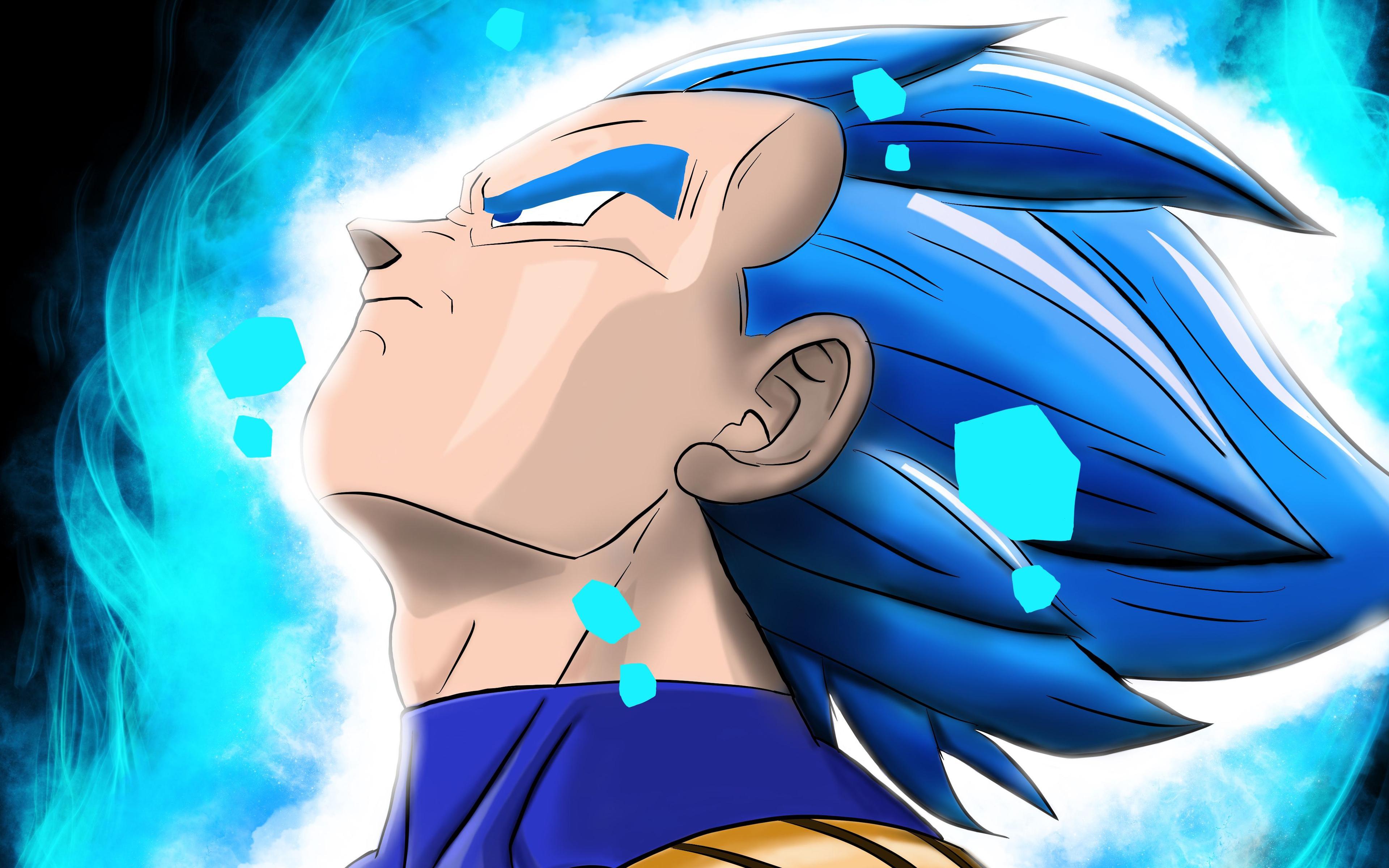 Vegeta Wallpaper